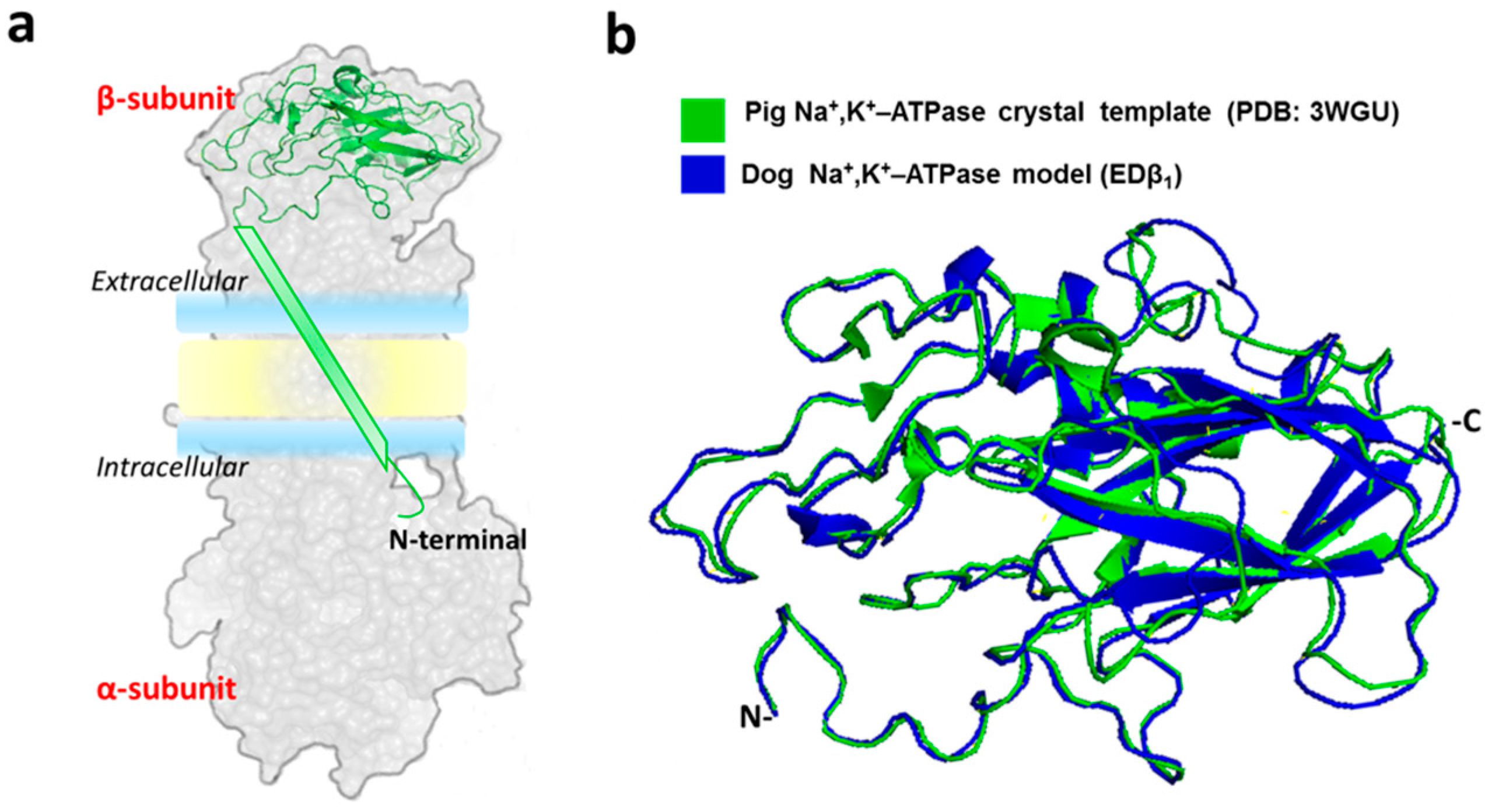 Ijms 20 04538 g001 Ijms 20 04538 g001