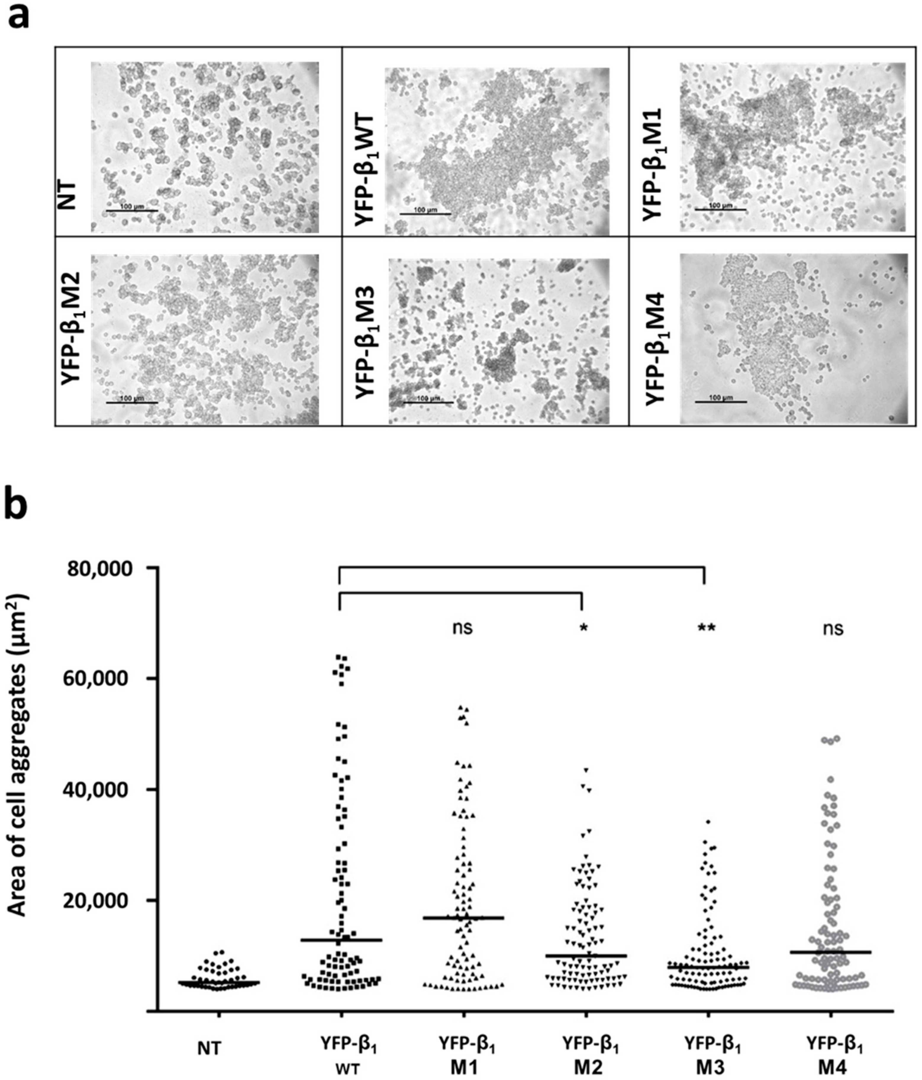 Ijms 20 04538 g005 Ijms 20 04538 g005
