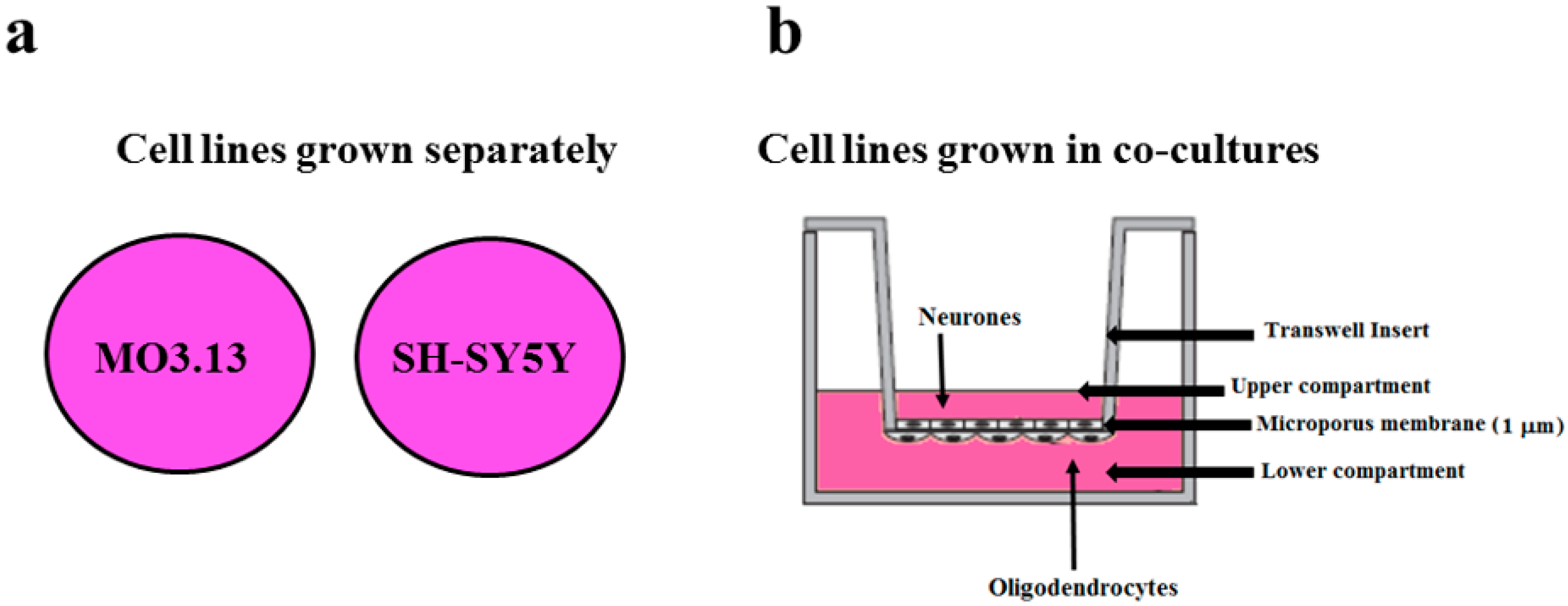 Ijms 20 04554 g001 Ijms 20 04554 g001