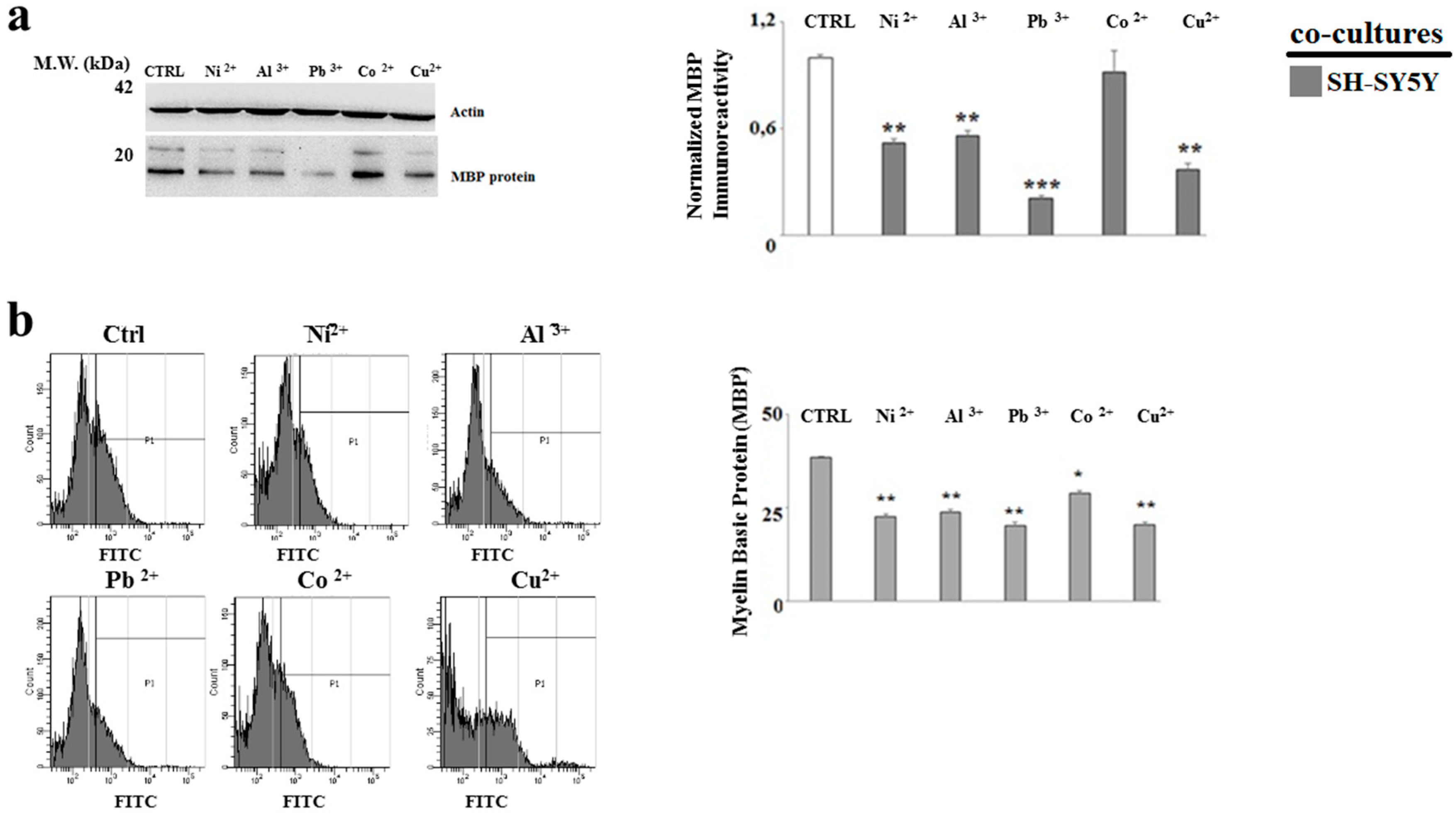 Ijms 20 04554 g009 Ijms 20 04554 g009
