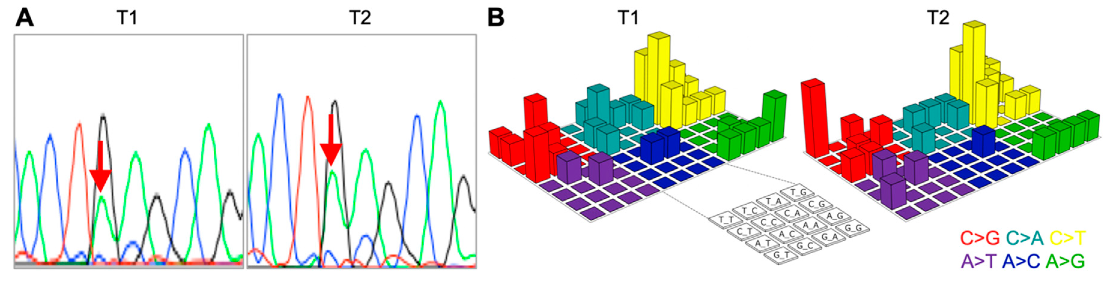Ijms 20 04563 g001 Ijms 20 04563 g001
