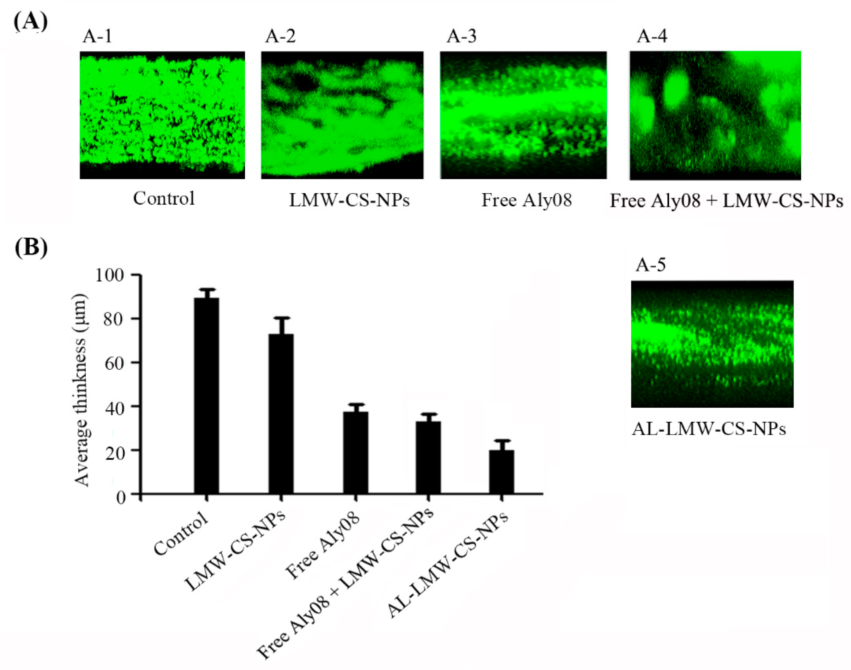 Ijms 20 04565 g007 Ijms 20 04565 g007