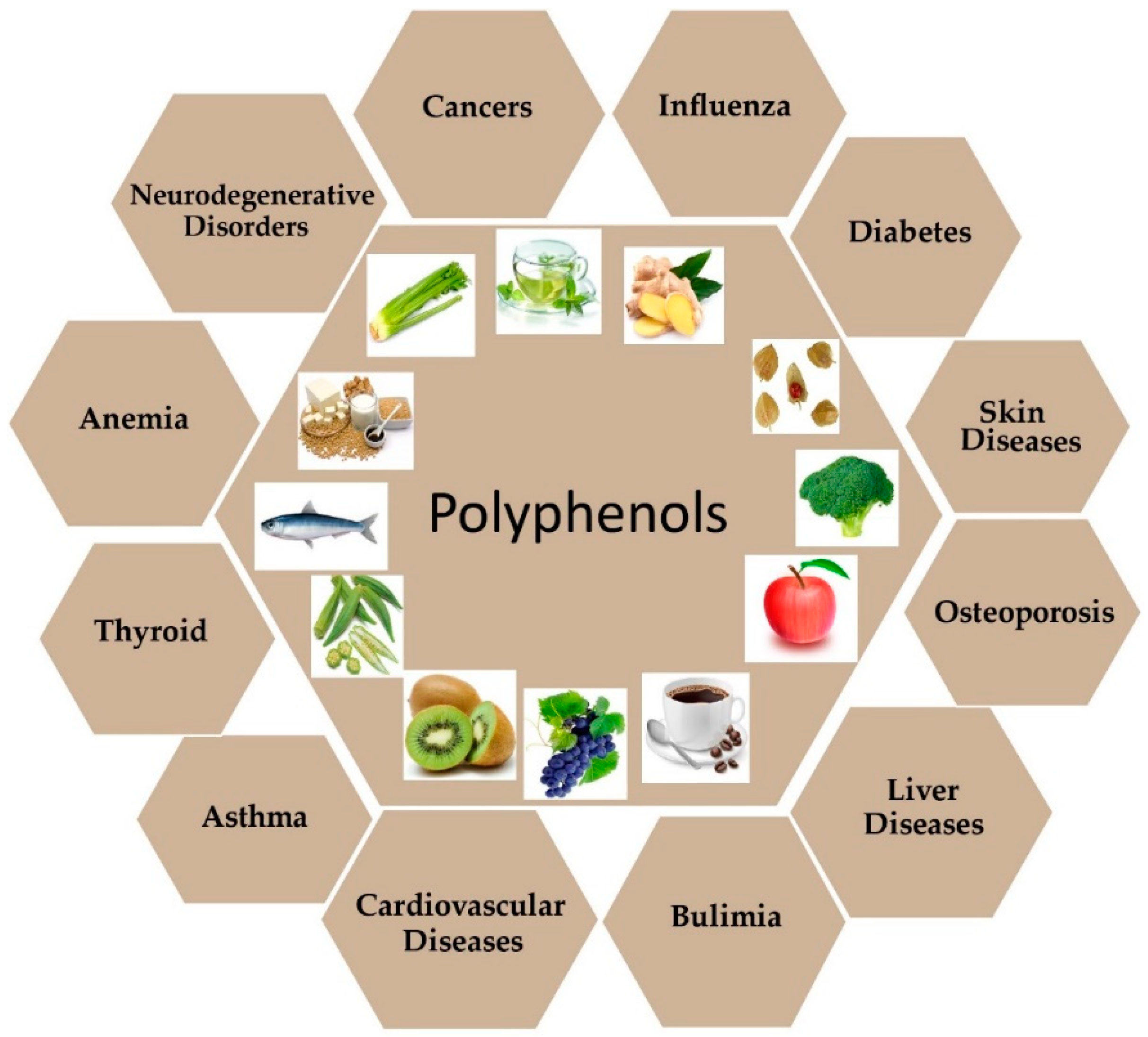 IJMS | Free Full-Text | Combinatorial Epigenetics Impact of Polyphenols and  Phytochemicals in Cancer Prevention and Therapy