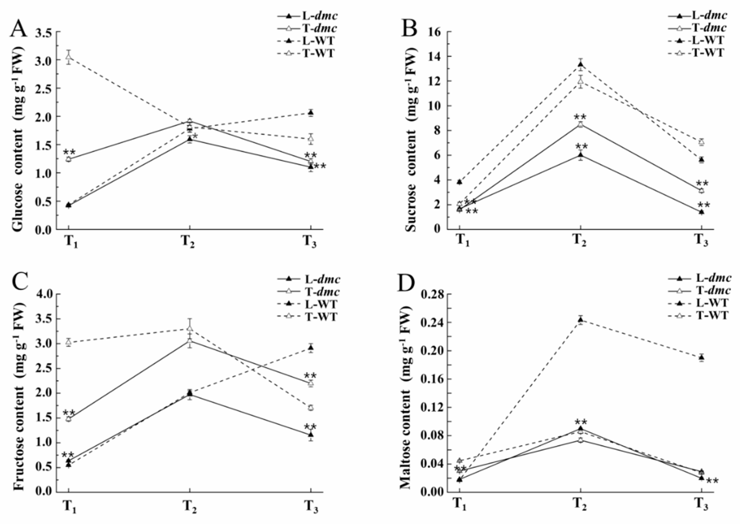 Ijms 20 04586 g007 Ijms 20 04586 g007