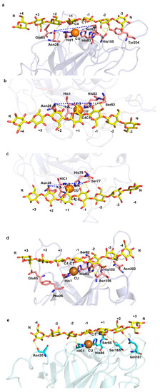 Ijms Free Full Text Sequence And Structural Analysis Of Aa9 And