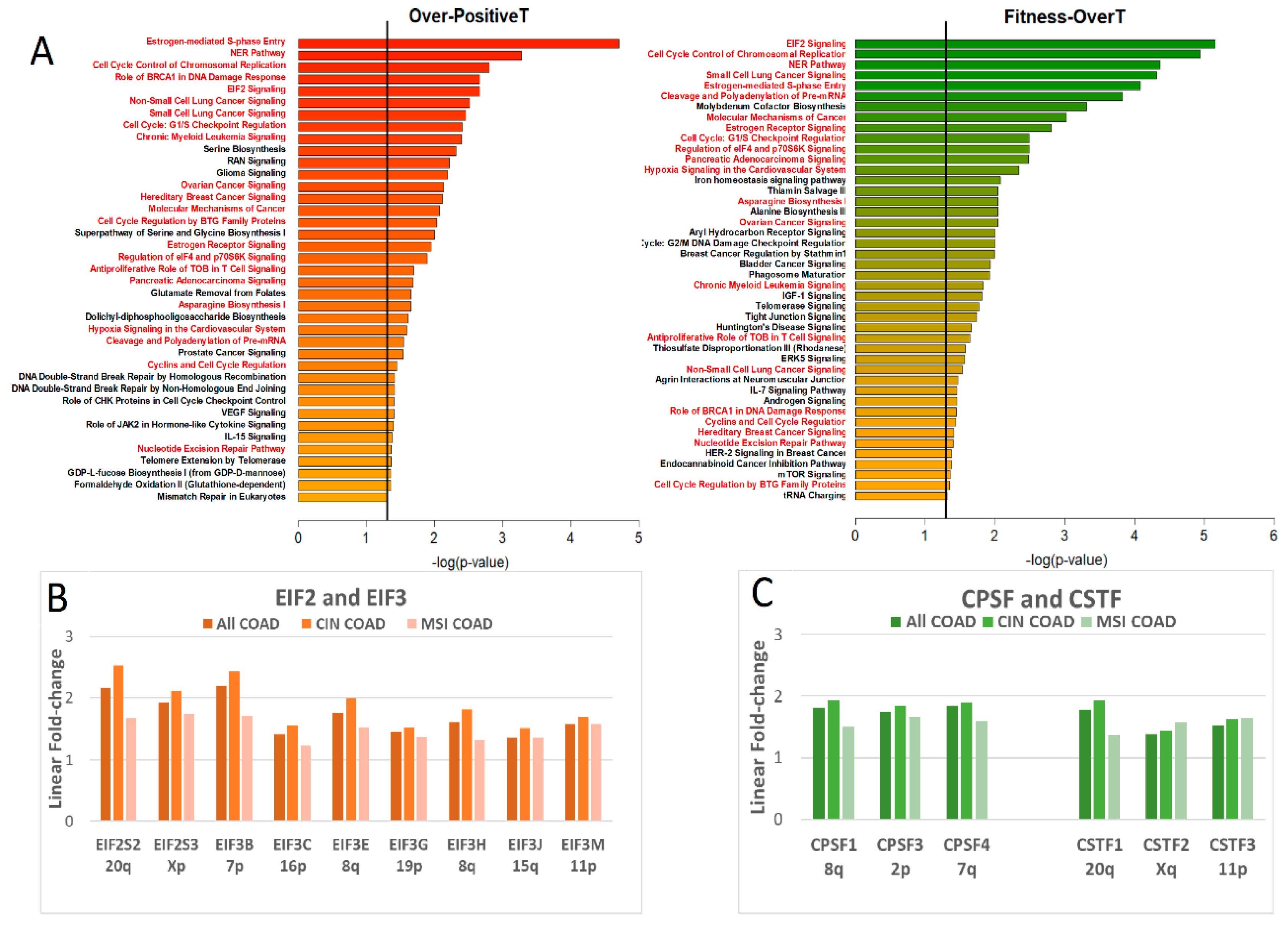 Ijms 20 04652 g009 Ijms 20 04652 g009