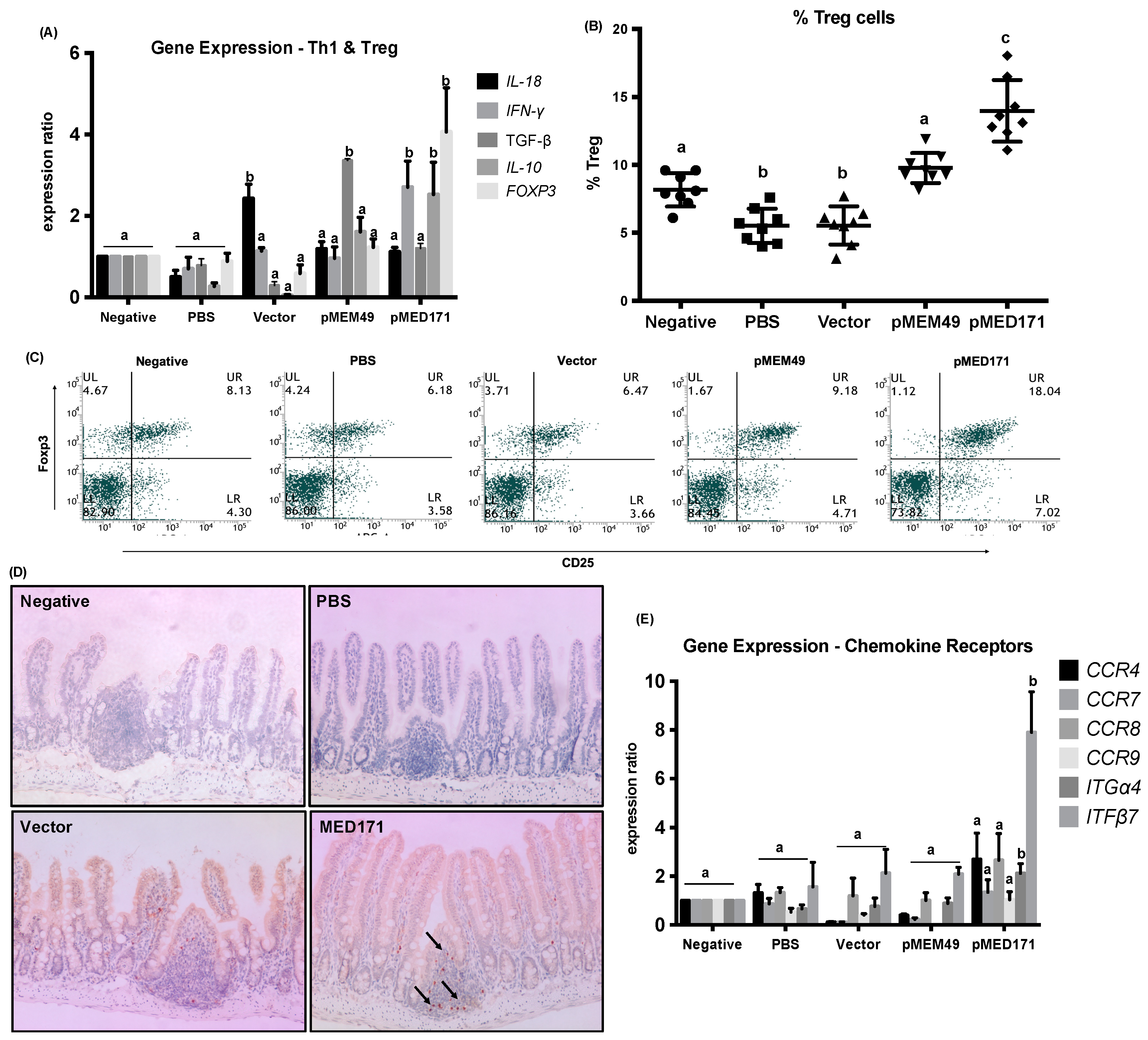 Ijms 20 04656 g002 Ijms 20 04656 g002