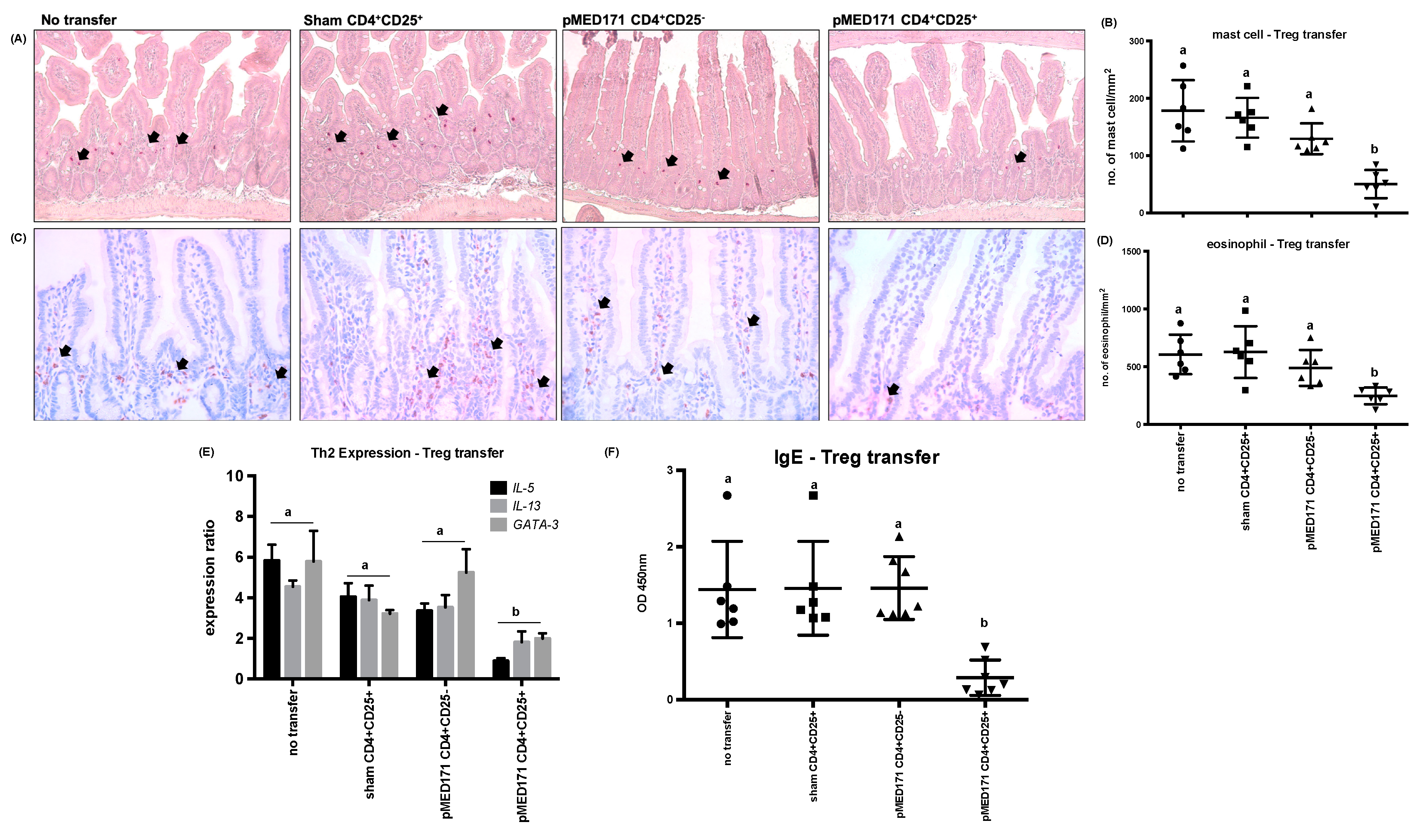 Ijms 20 04656 g005 Ijms 20 04656 g005