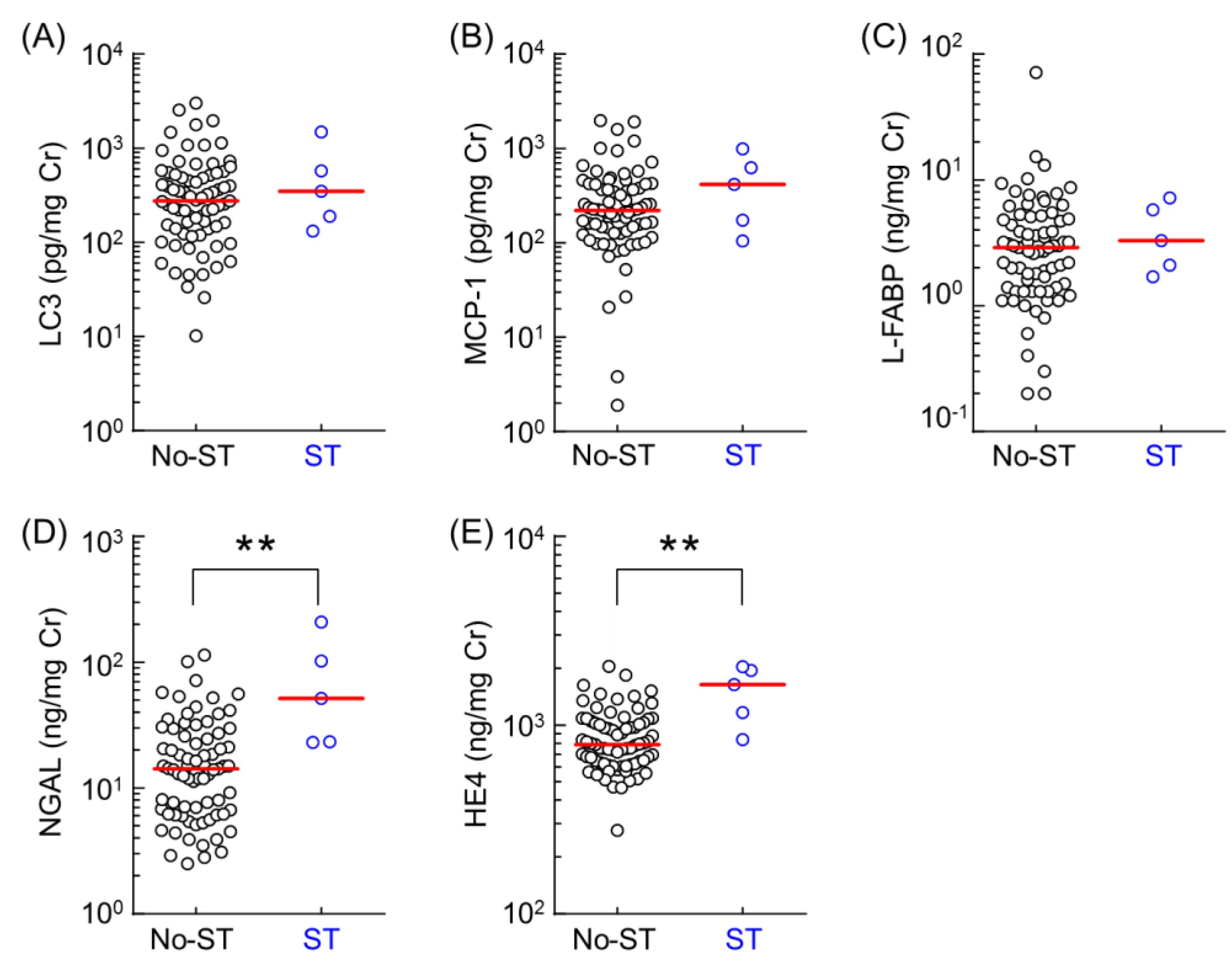 Ijms 20 04699 g002 Ijms 20 04699 g002