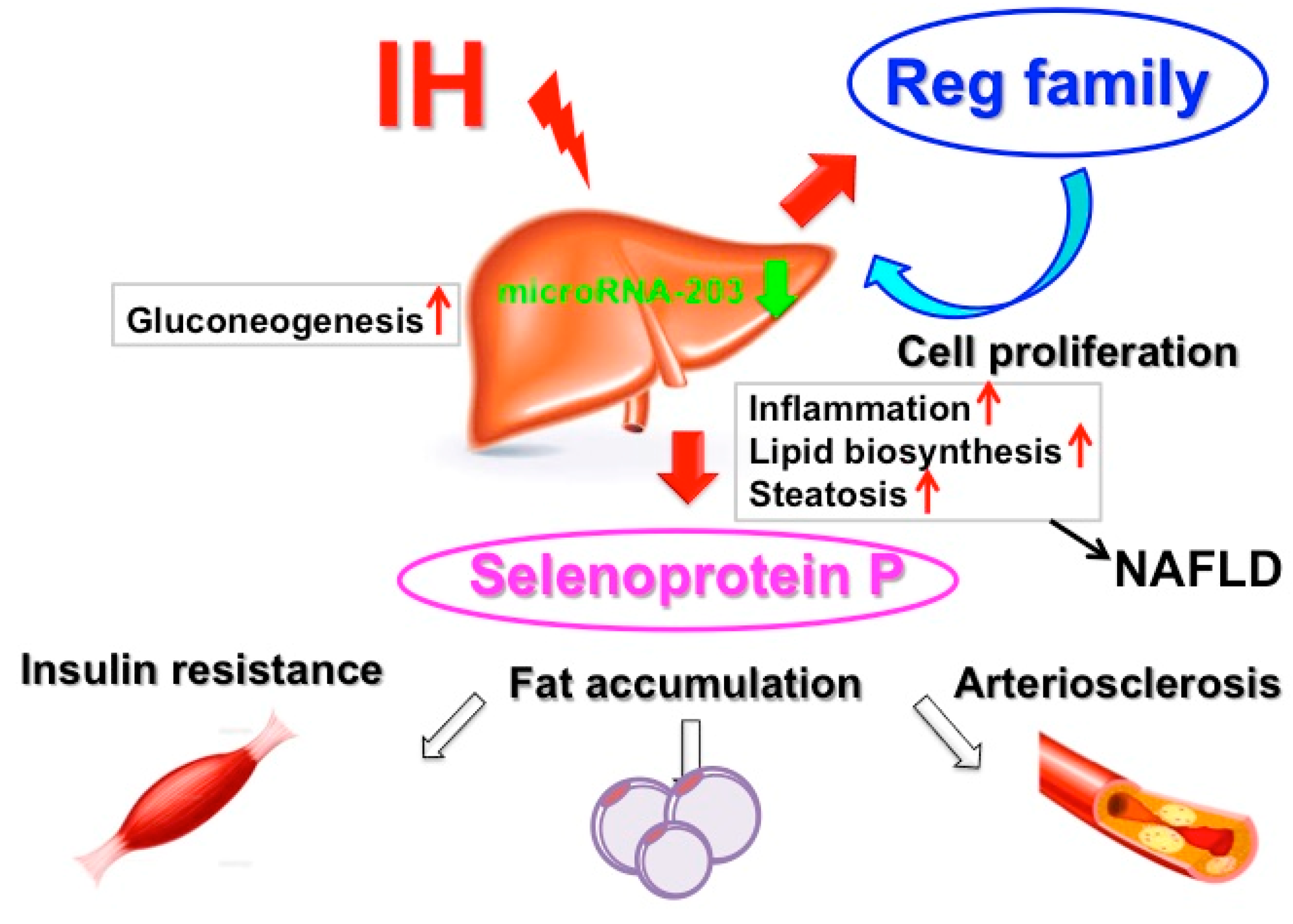 Ijms 20 04756 g002 Ijms 20 04756 g002