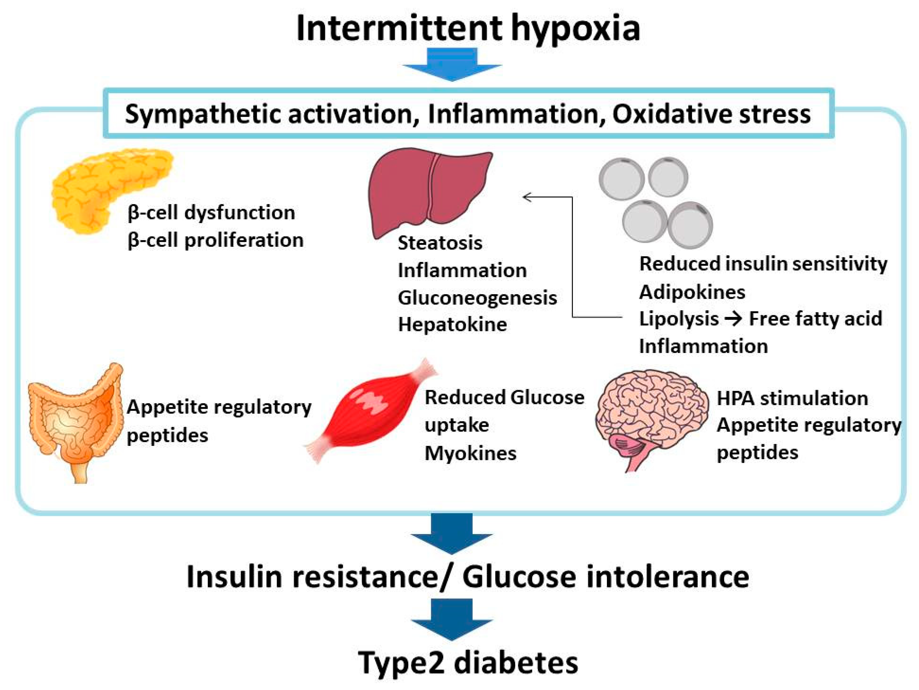 Ijms 20 04756 g004 Ijms 20 04756 g004