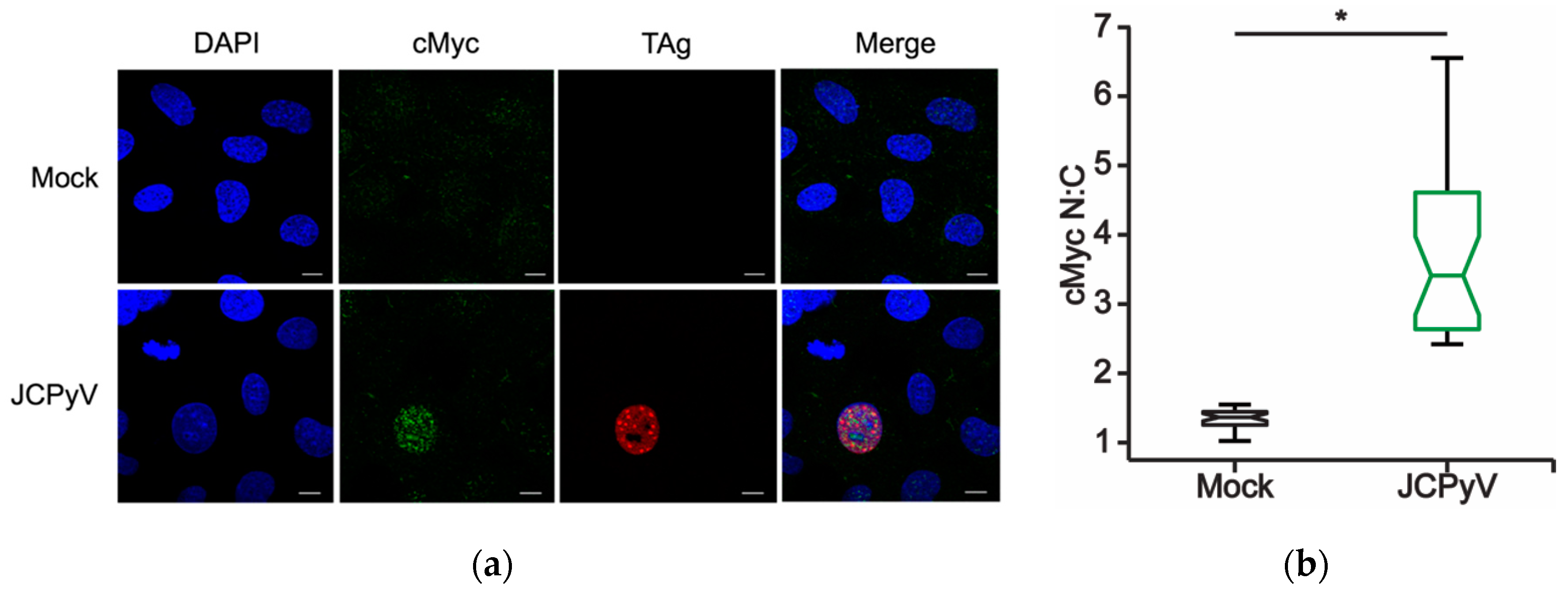 Ijms 20 04779 g004a Ijms 20 04779 g004a