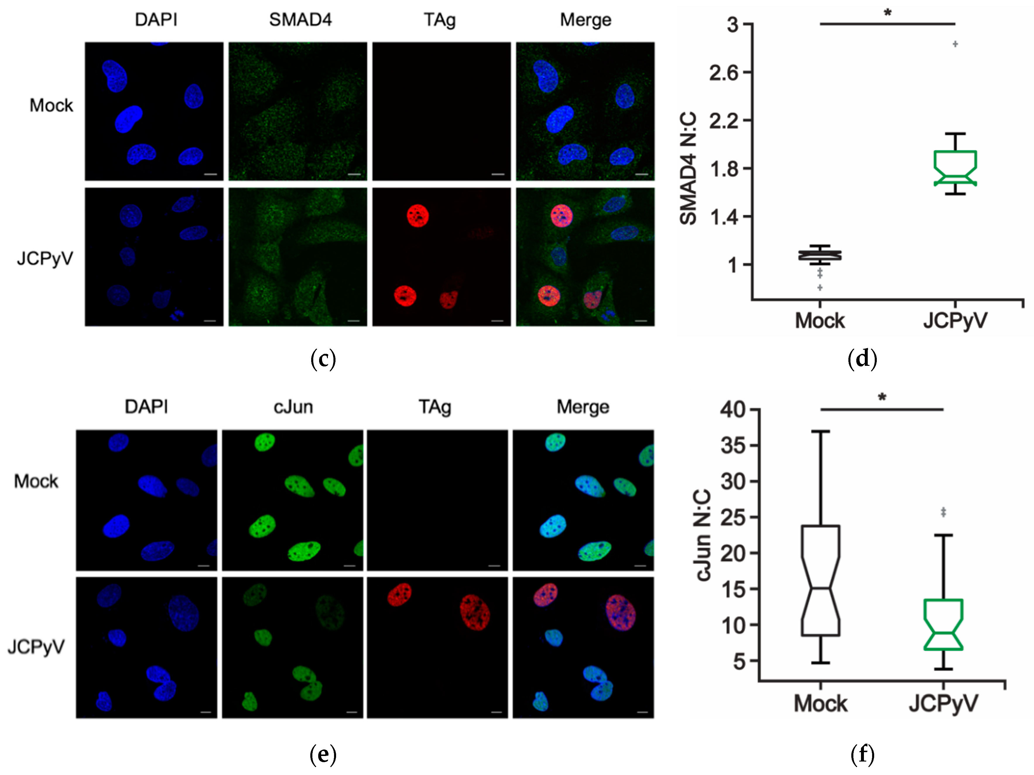 Ijms 20 04779 g004b Ijms 20 04779 g004b