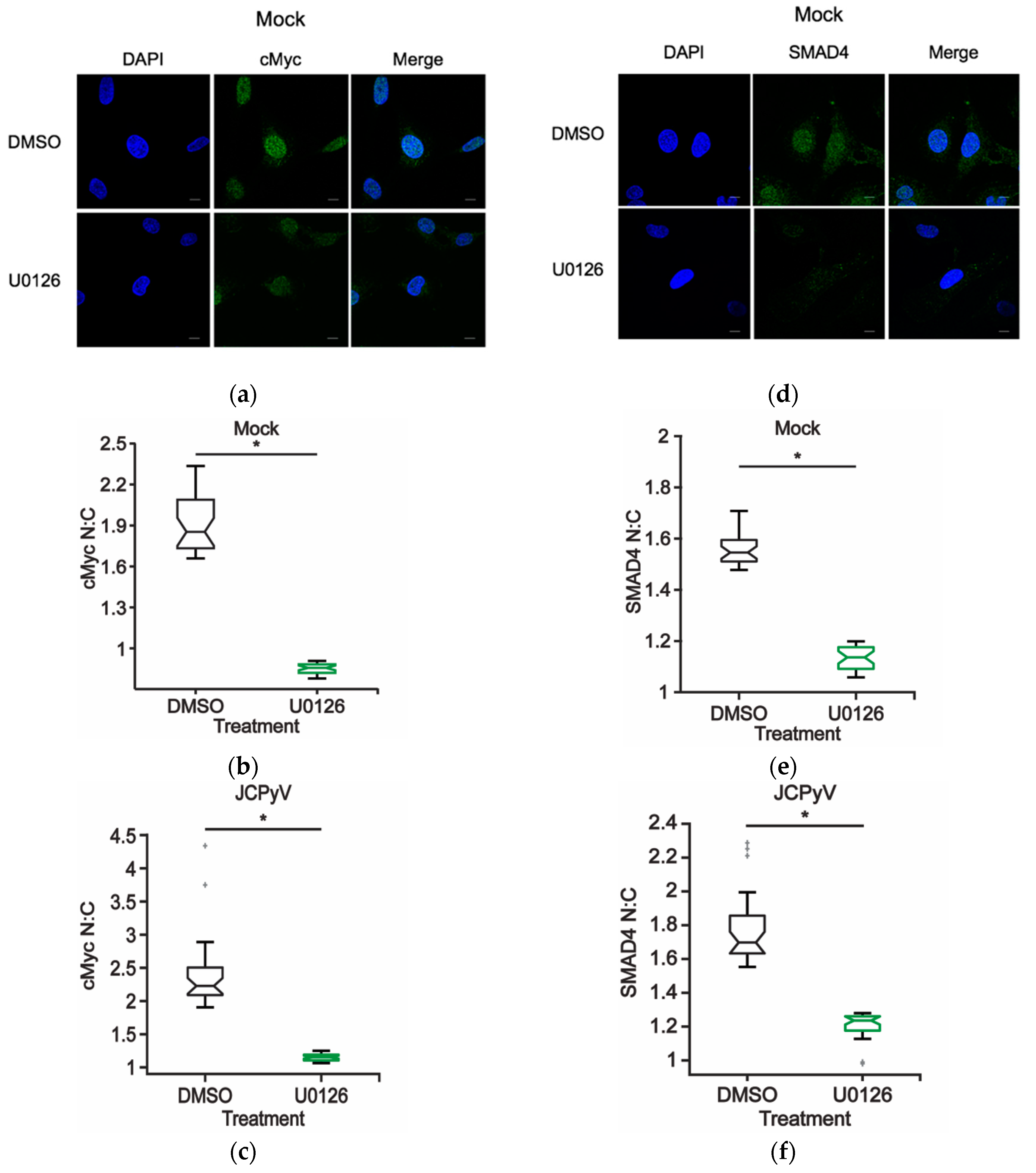 Ijms 20 04779 g005 Ijms 20 04779 g005