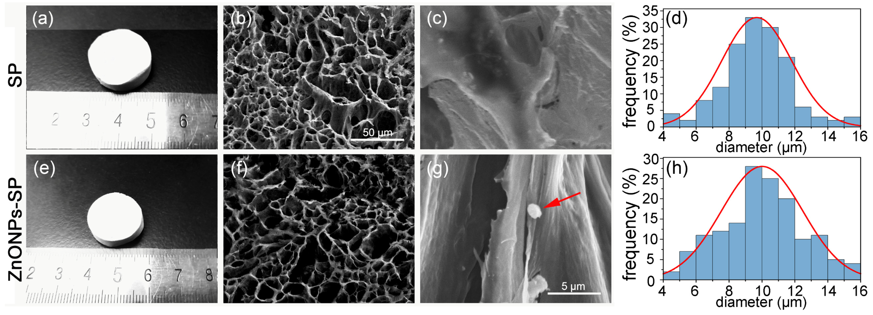 Ijms 20 04796 g002 Ijms 20 04796 g002