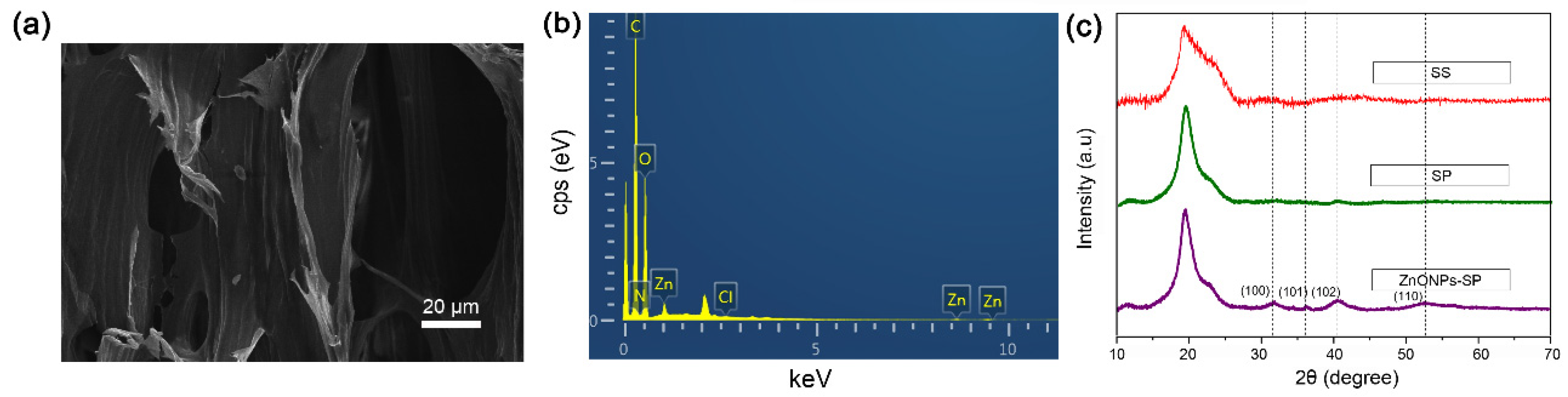 Ijms 20 04796 g003 Ijms 20 04796 g003