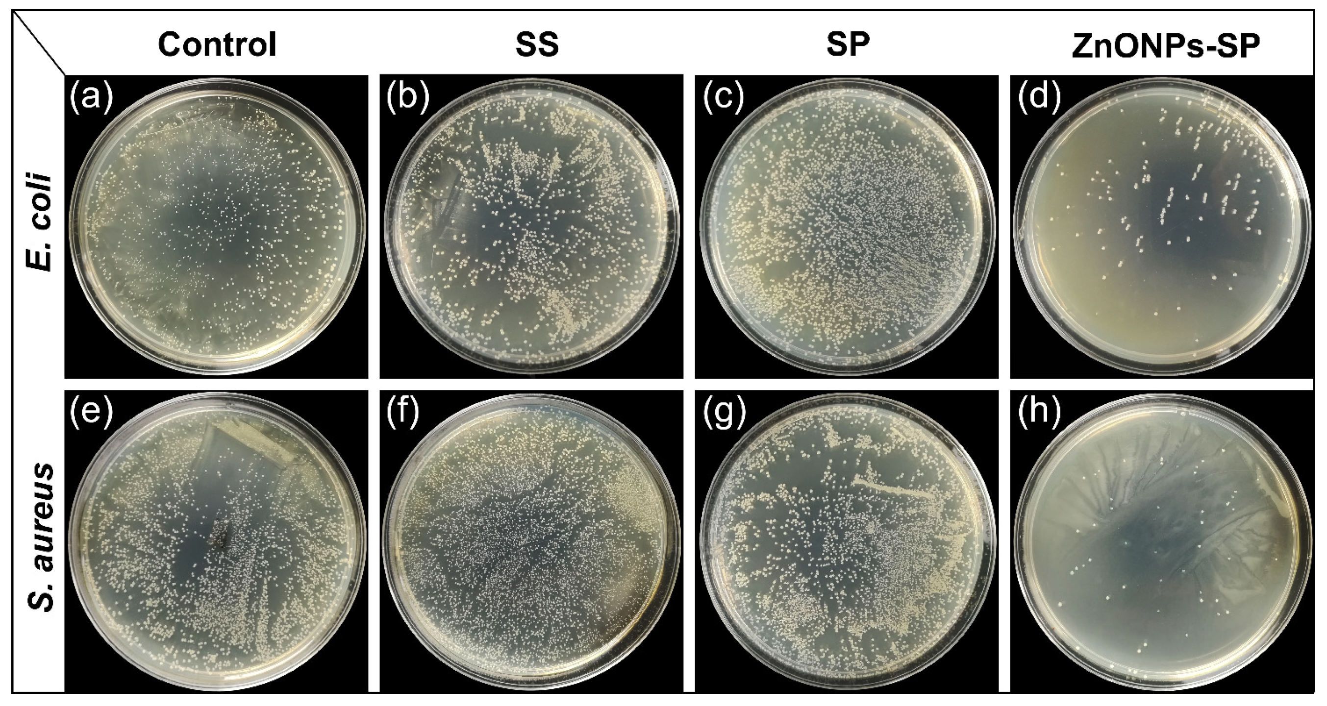 Ijms 20 04796 g006 Ijms 20 04796 g006