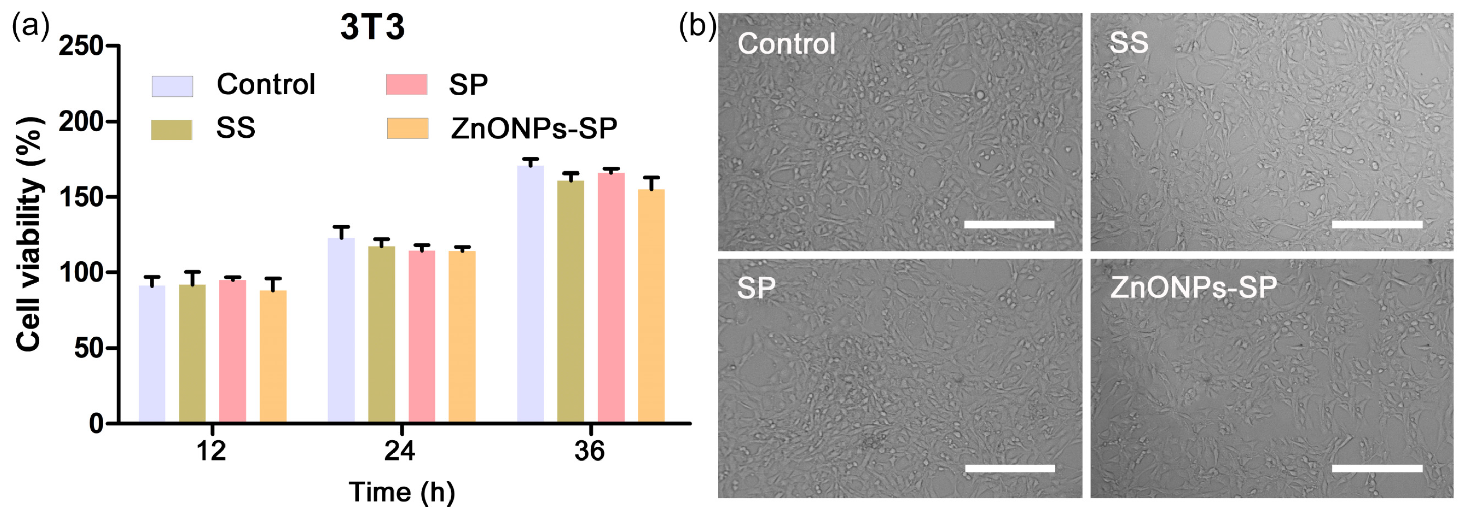 Ijms 20 04796 g008 Ijms 20 04796 g008