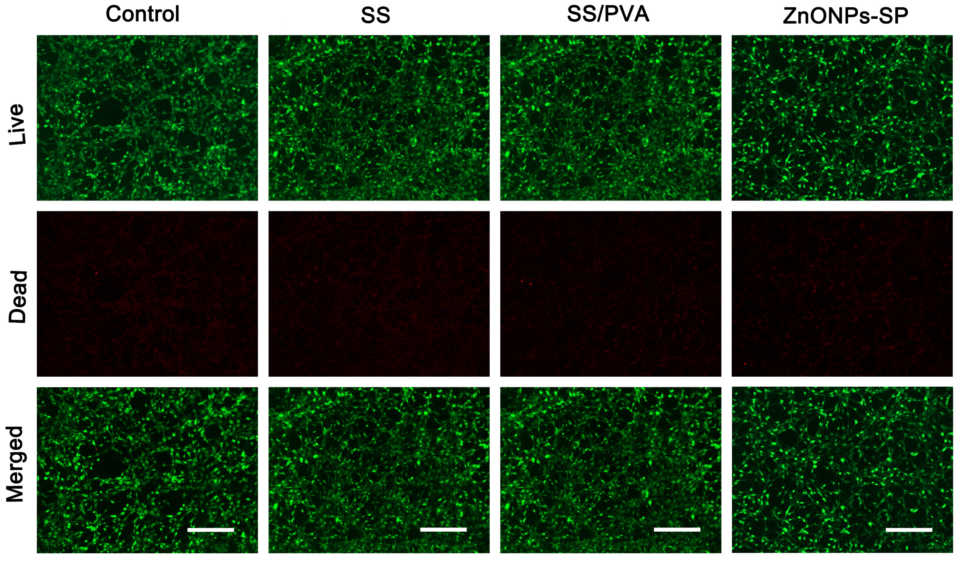 Ijms 20 04796 g009 Ijms 20 04796 g009
