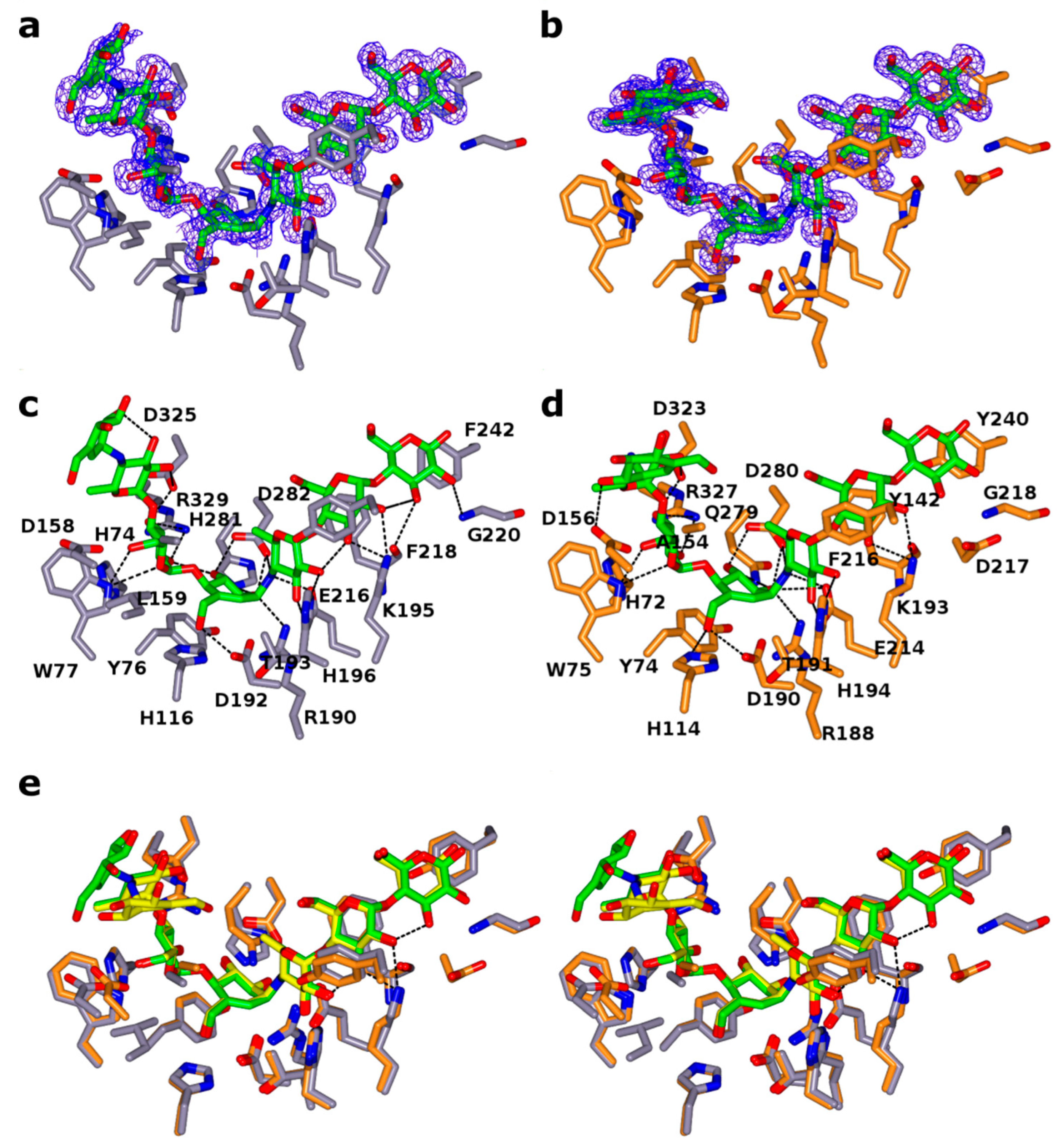 Ijms 20 04902 g003 Ijms 20 04902 g003