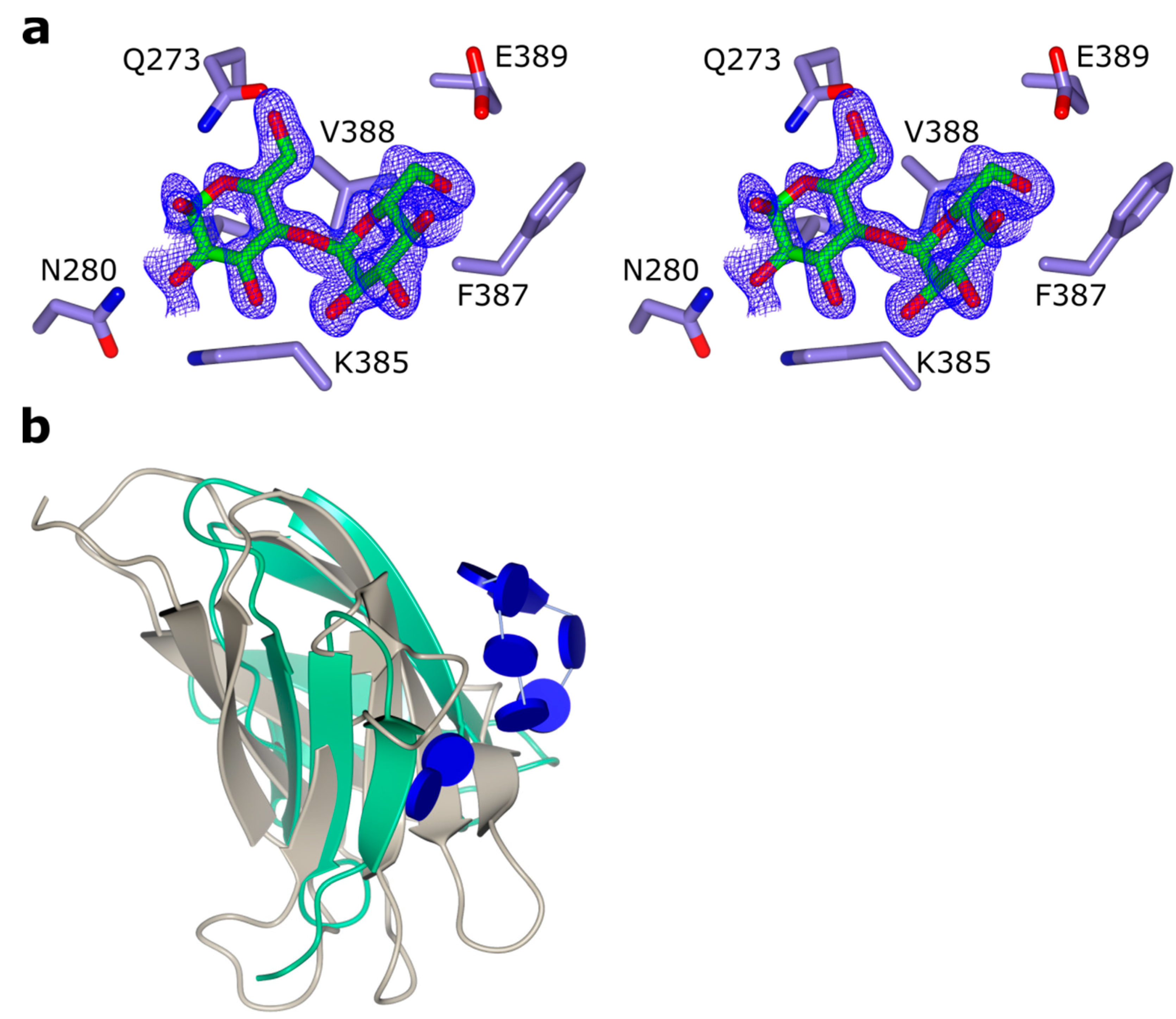 Ijms 20 04902 g004 Ijms 20 04902 g004
