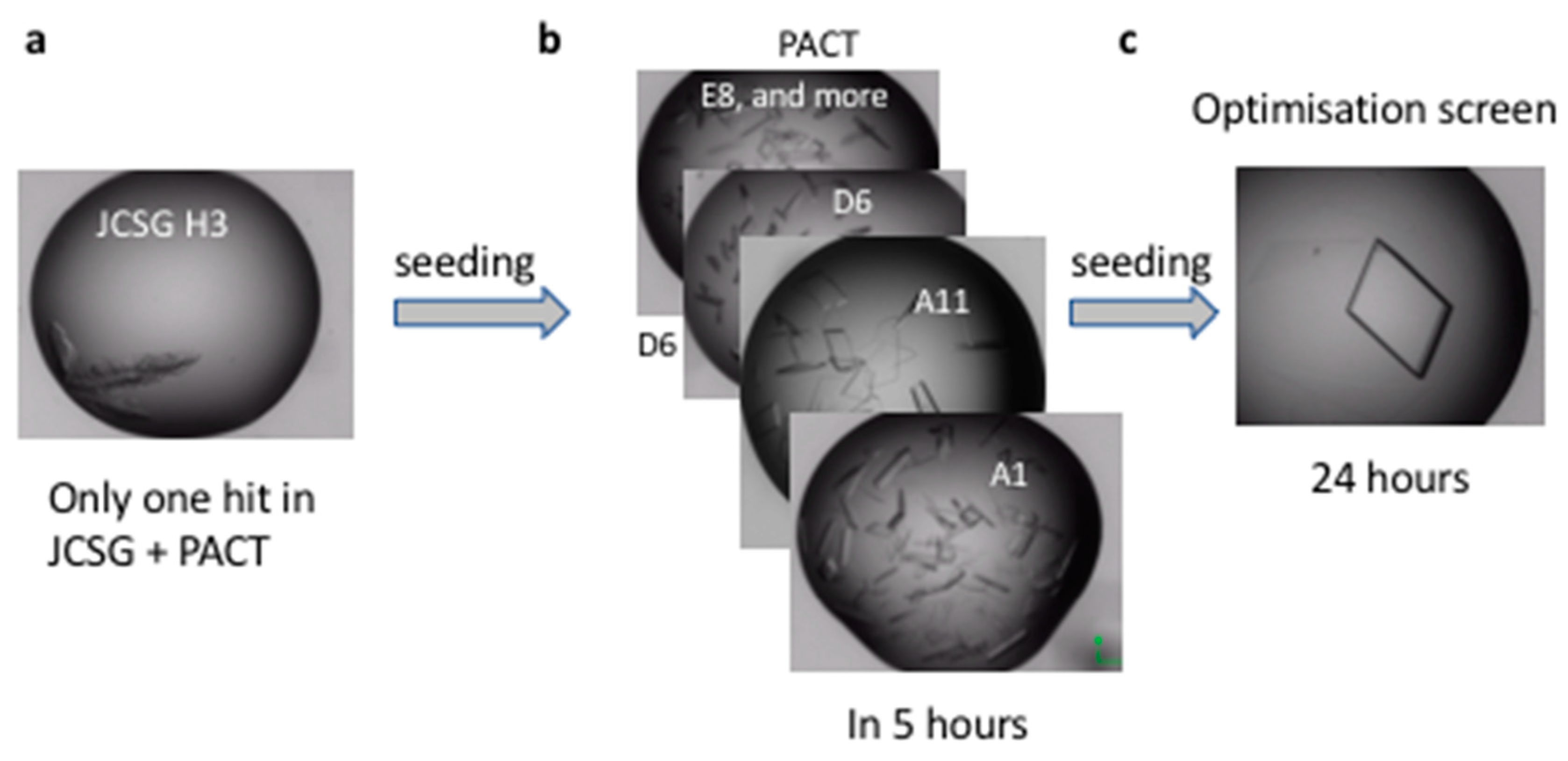 Ijms 20 04902 g006 Ijms 20 04902 g006
