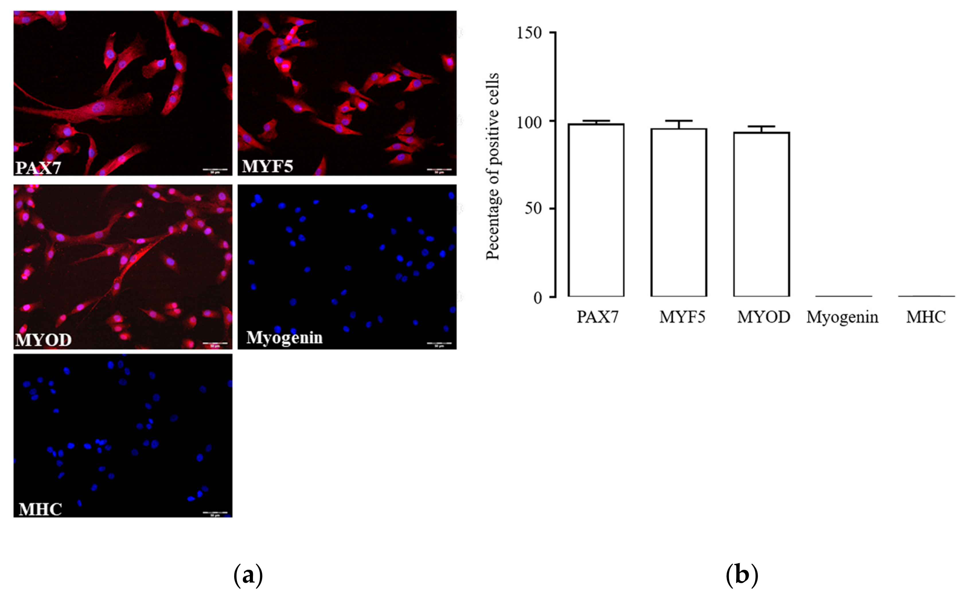 Ijms 20 04912 g001 Ijms 20 04912 g001