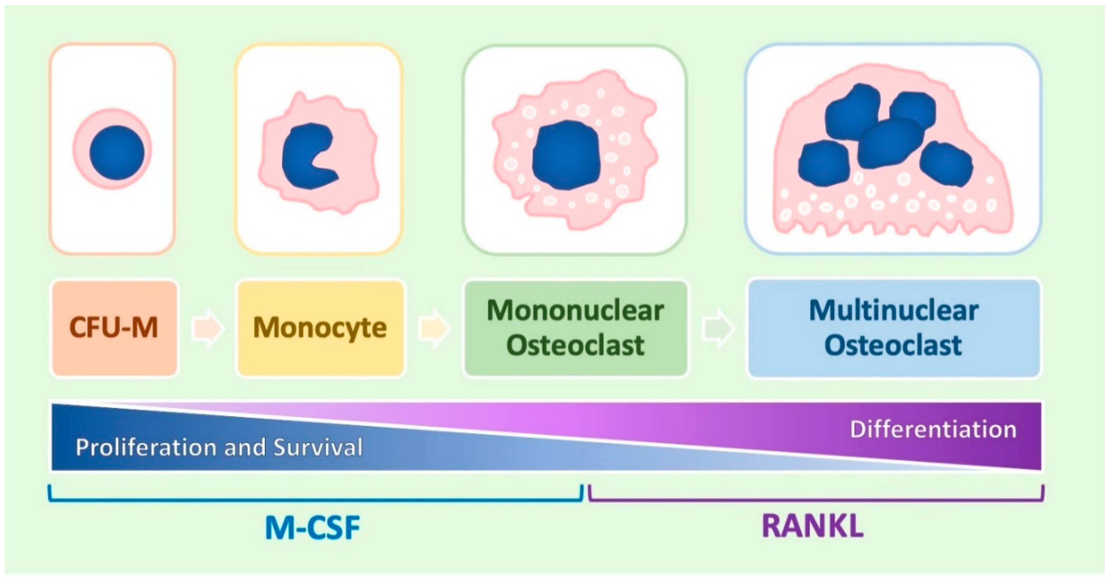 Ijms 20 04925 g001 Ijms 20 04925 g001