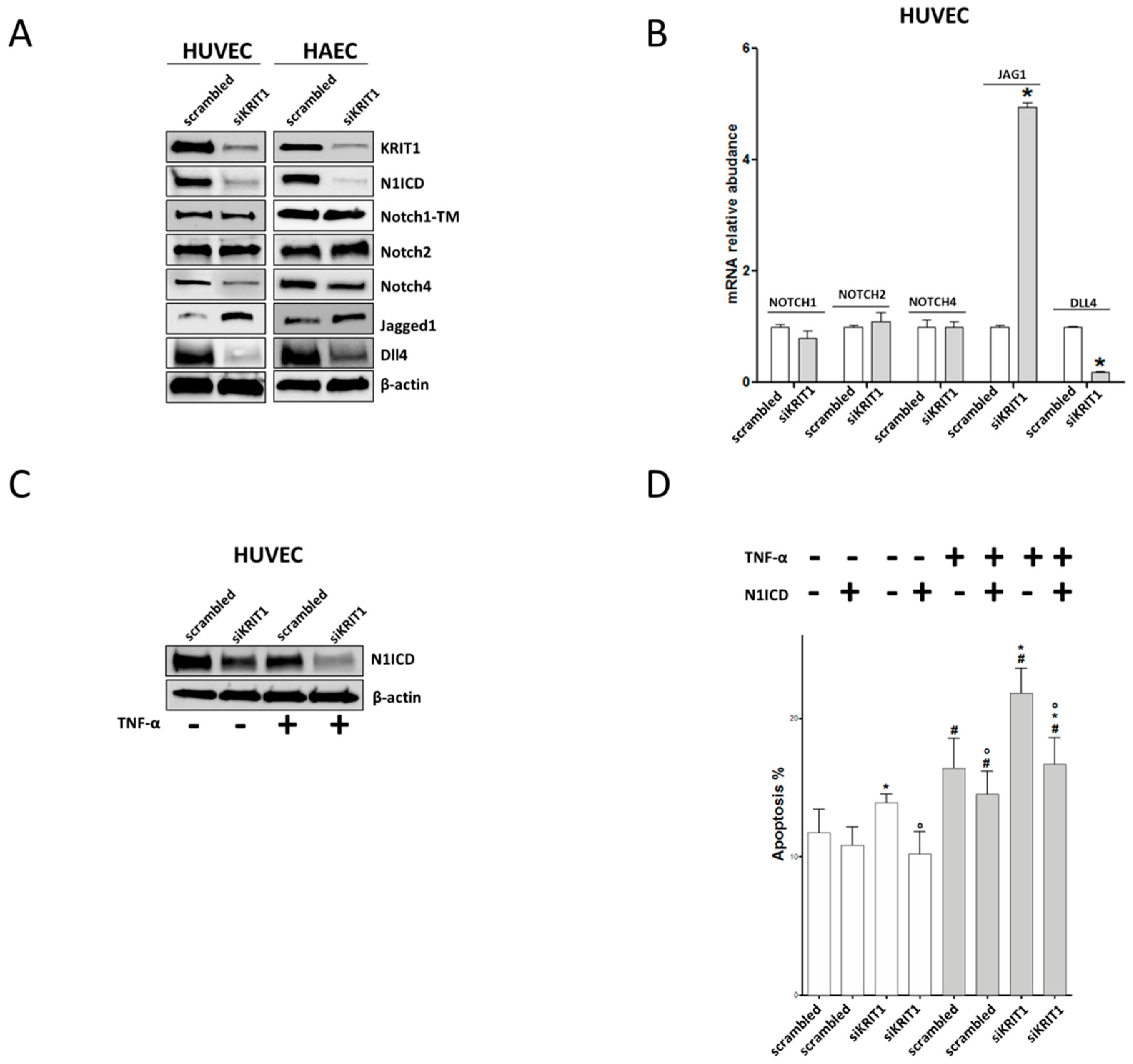 Ijms 20 04930 g003 Ijms 20 04930 g003