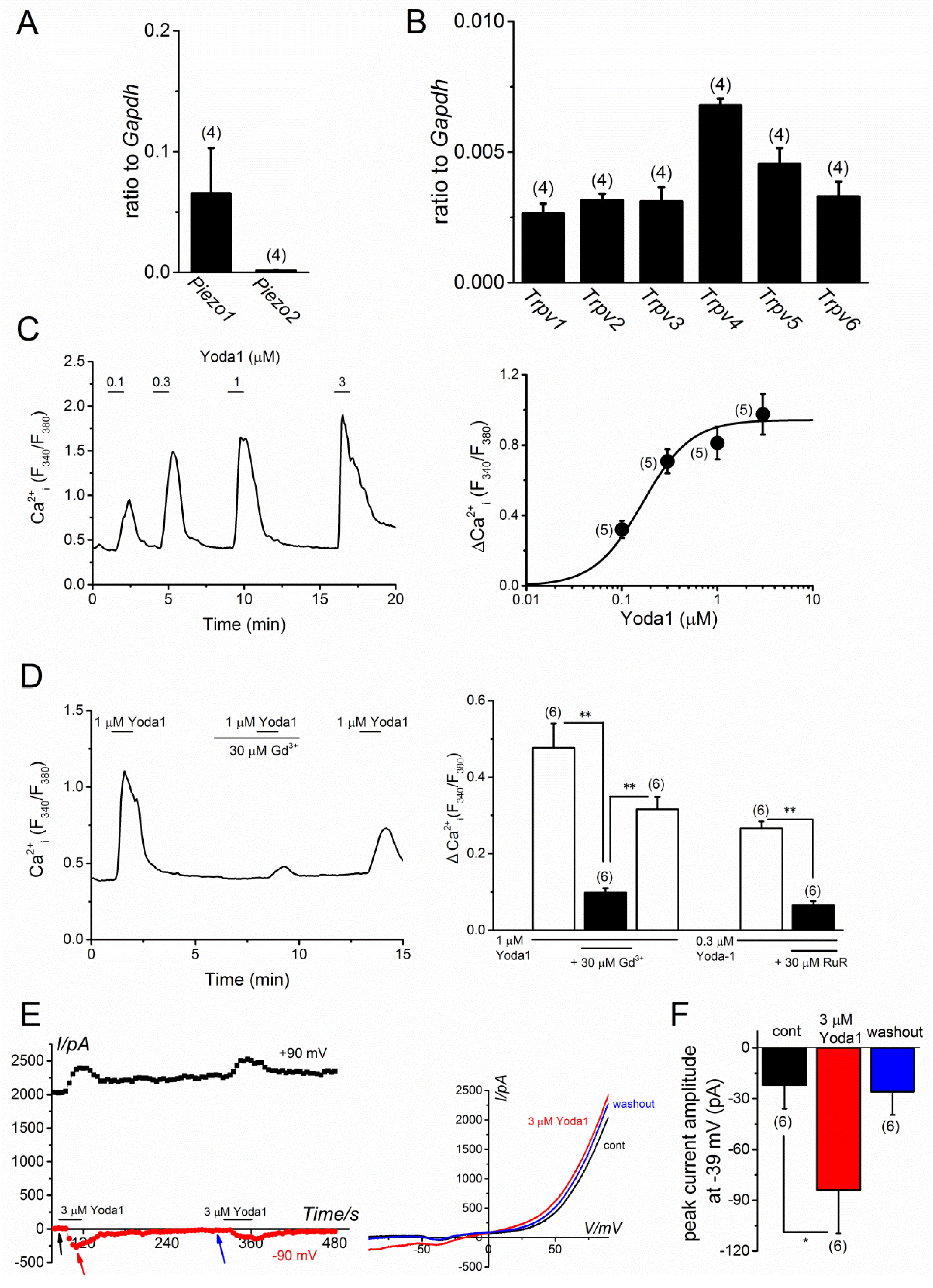 Ijms 20 04960 g001 Ijms 20 04960 g001