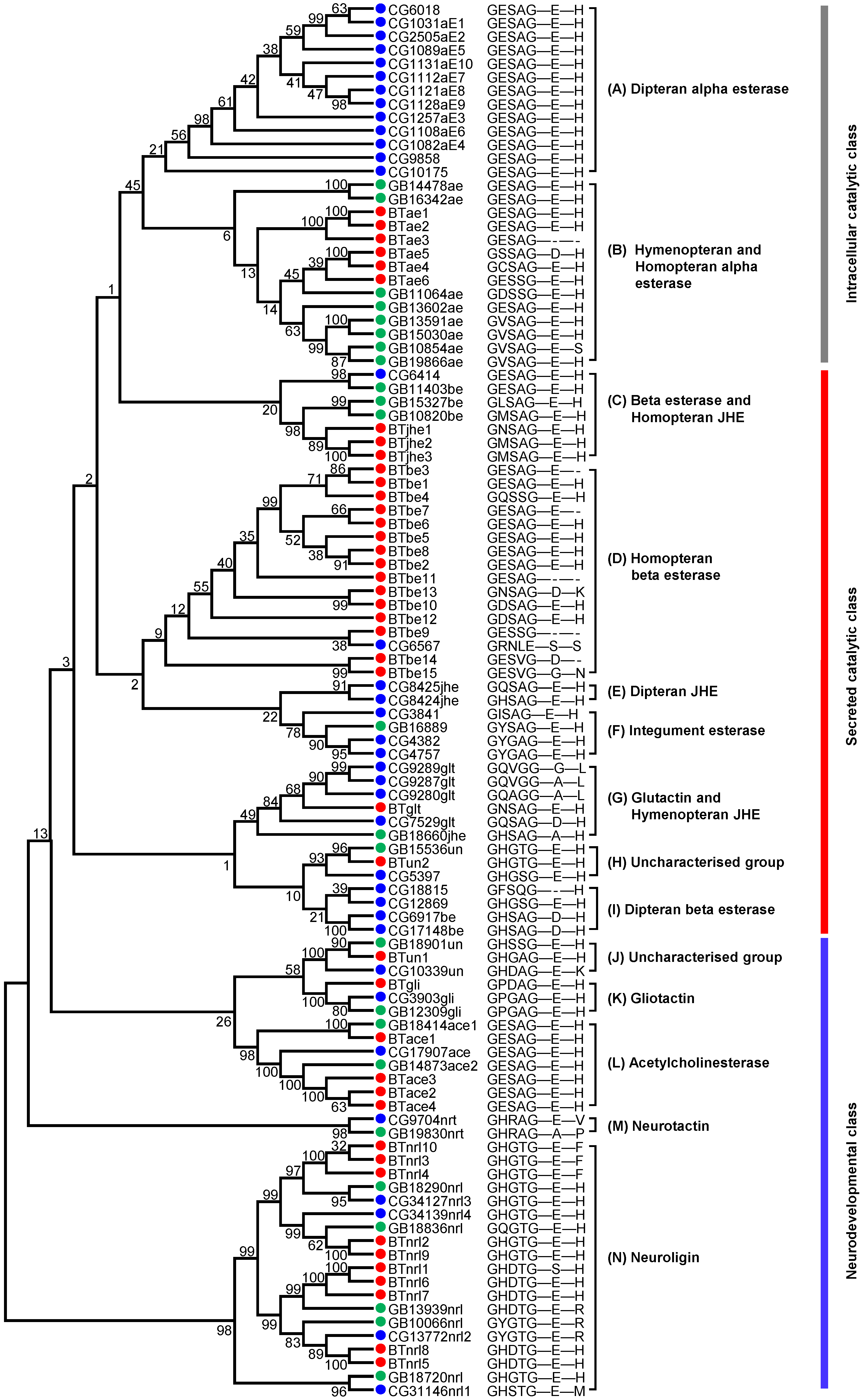 Ijms 20 04973 g001 Ijms 20 04973 g001