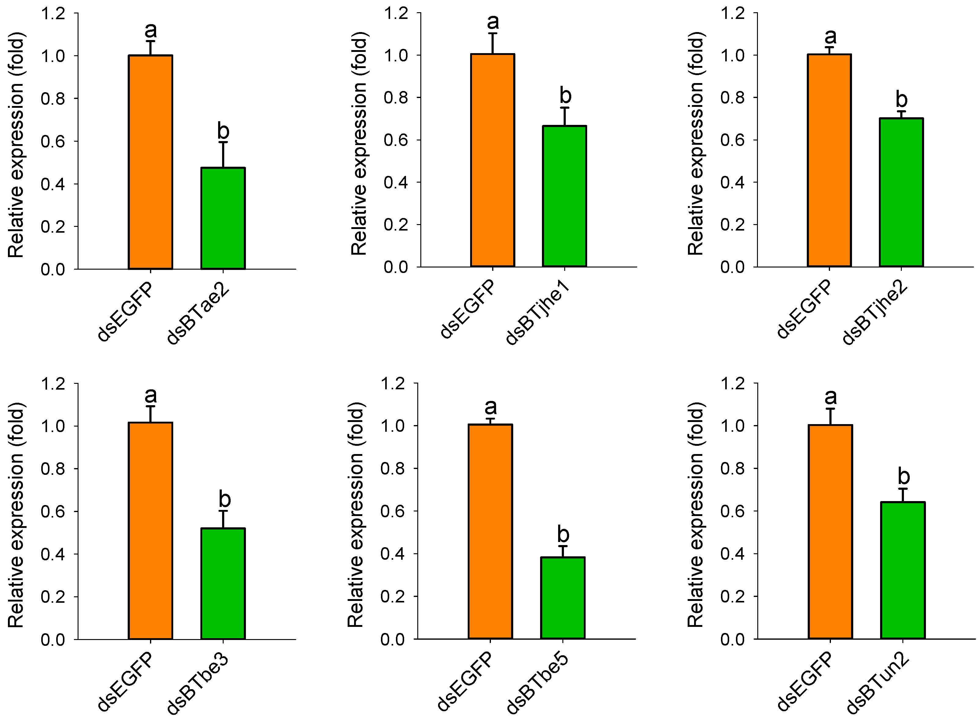 Ijms 20 04973 g005 Ijms 20 04973 g005