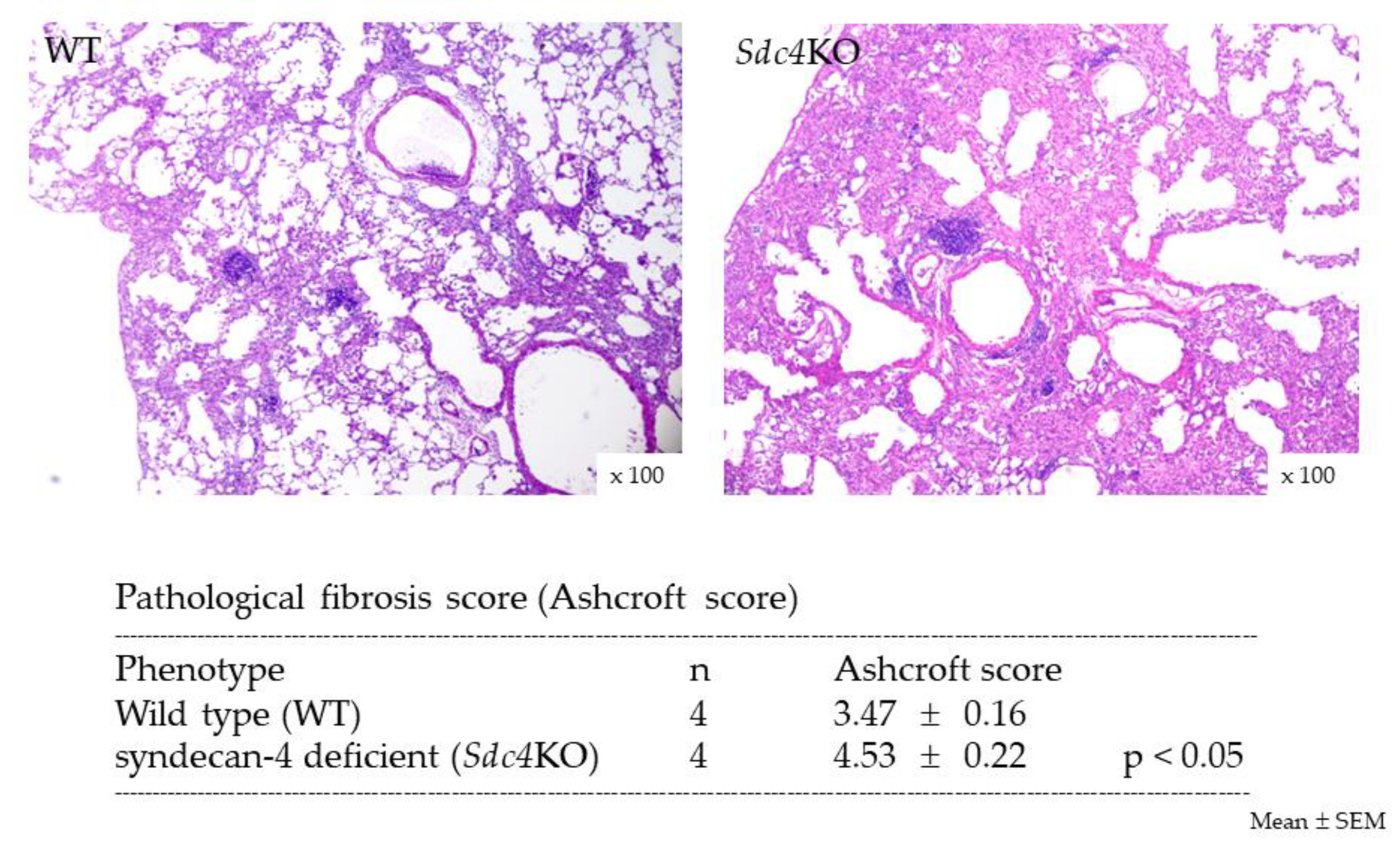Ijms 20 04989 g003 Ijms 20 04989 g003