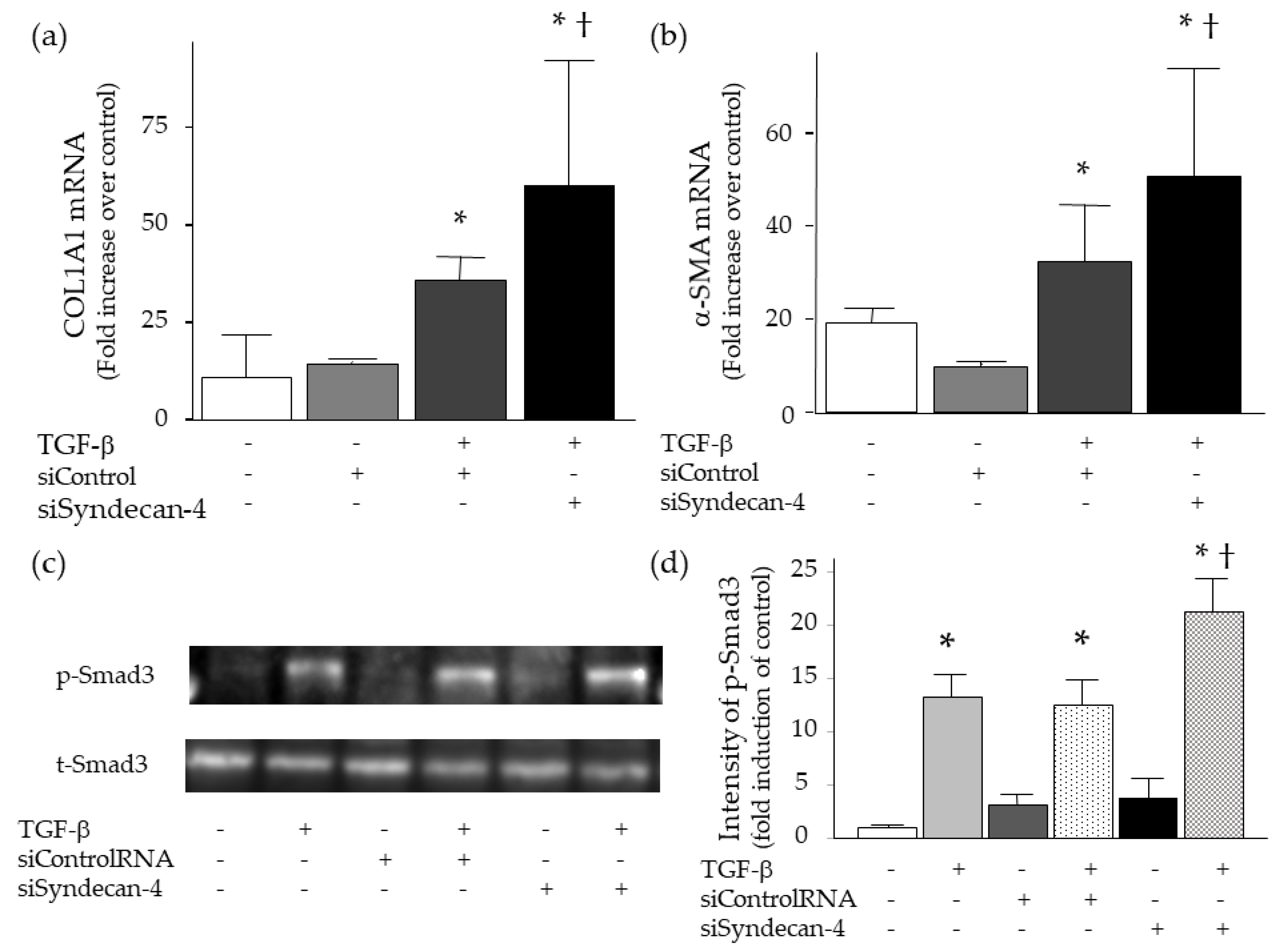 Ijms 20 04989 g008 Ijms 20 04989 g008