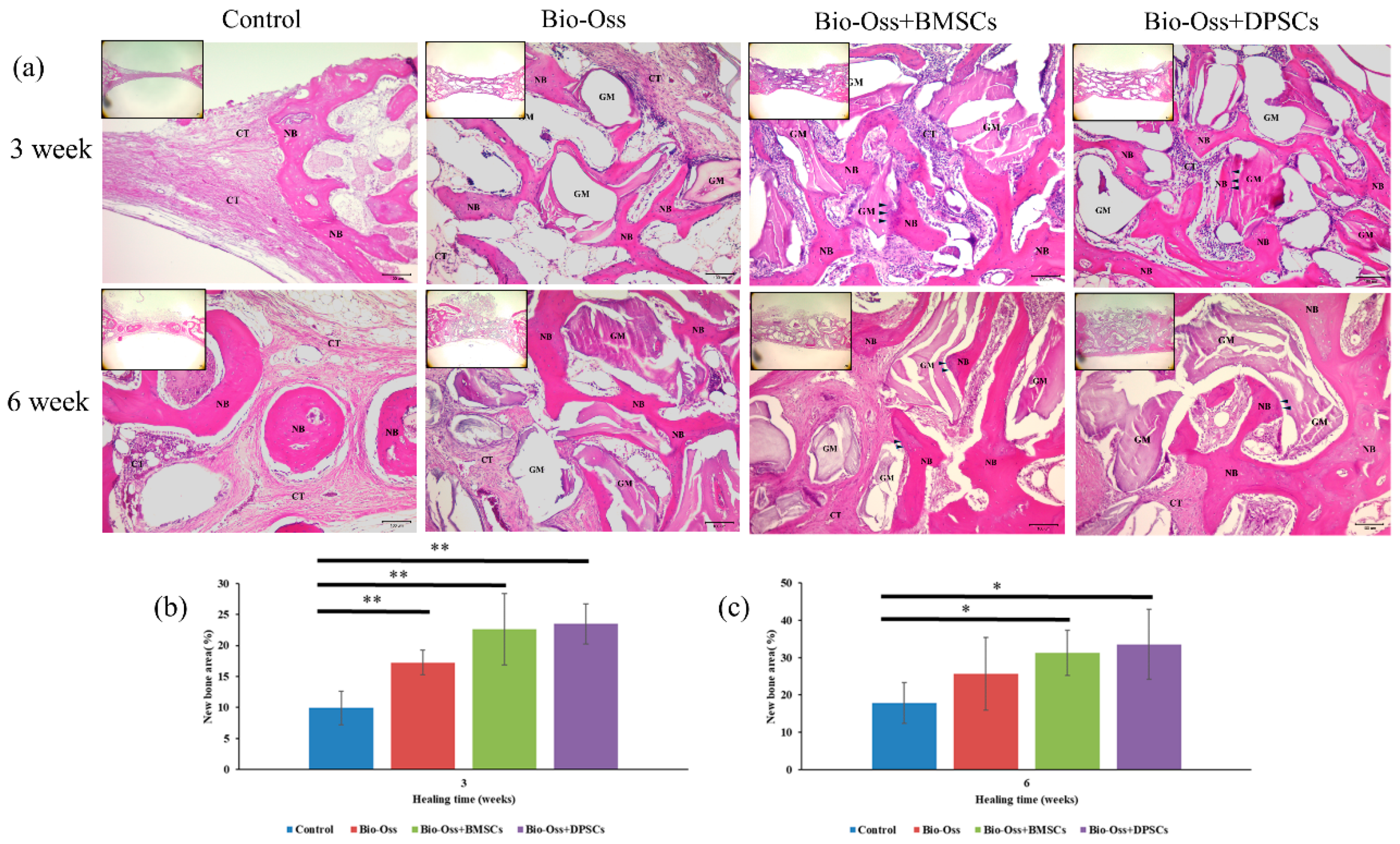 Ijms 20 05015 g008 Ijms 20 05015 g008