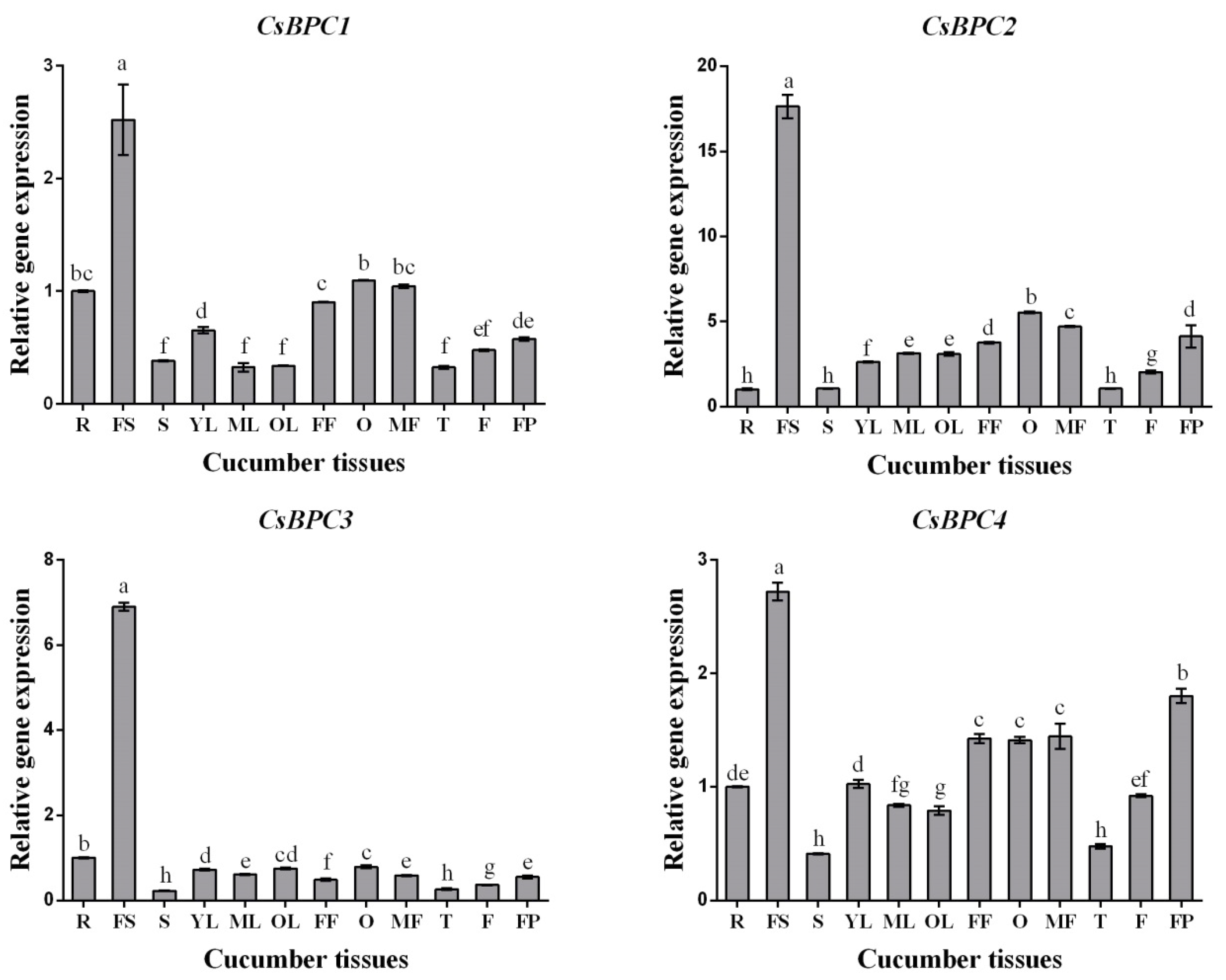 Ijms 20 05048 g004 Ijms 20 05048 g004