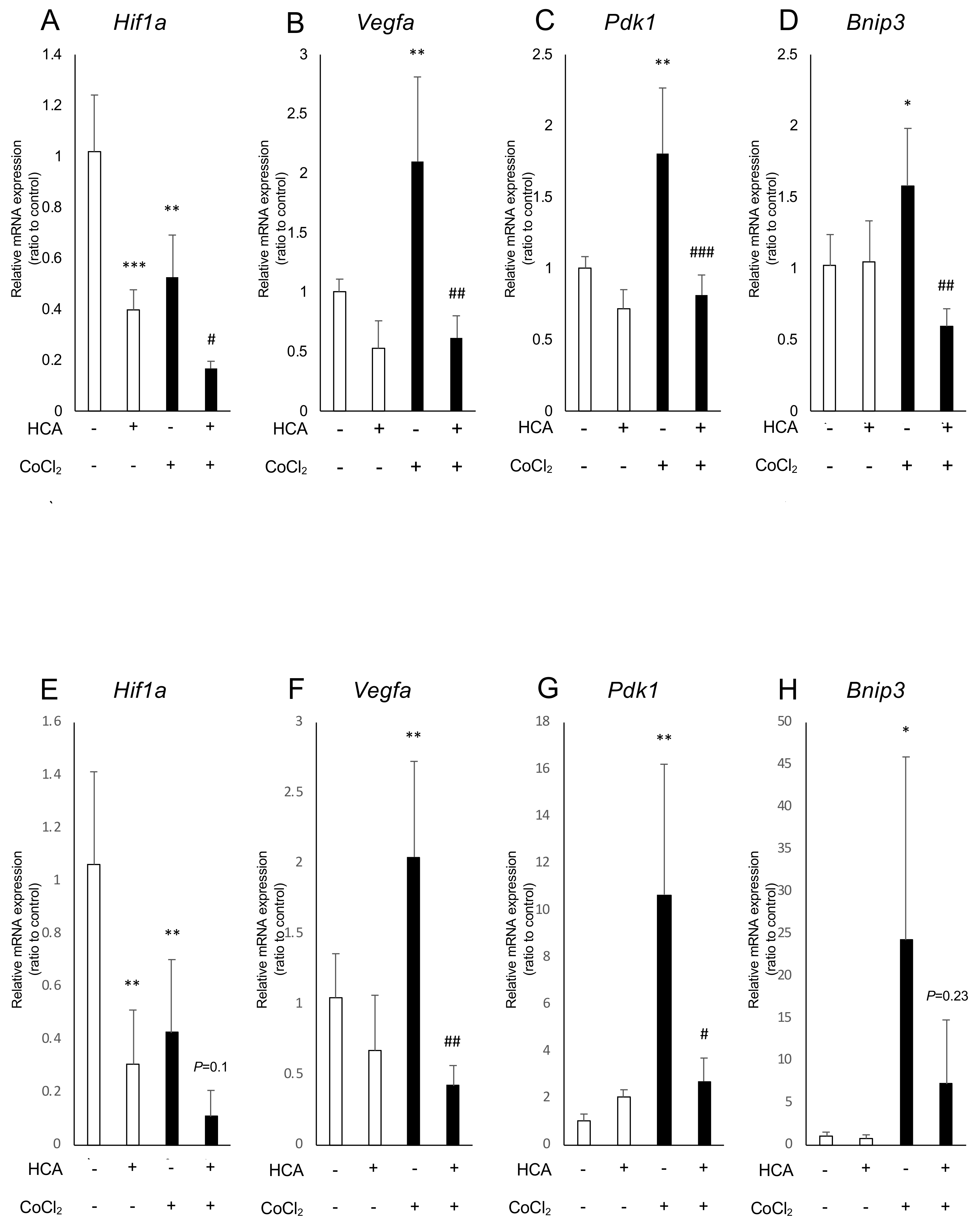 Ijms 20 05049 g003 Ijms 20 05049 g003