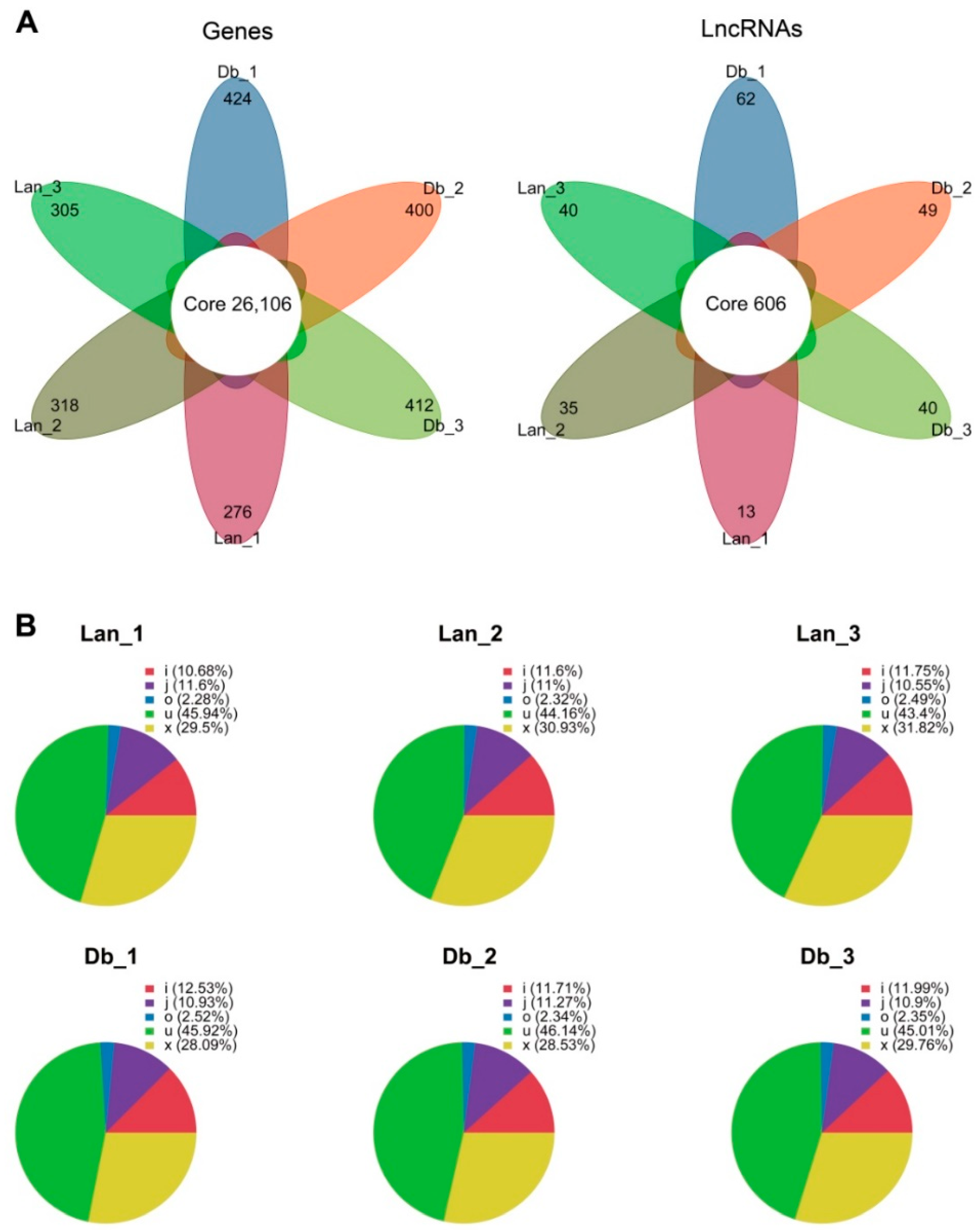 Ijms Free Full Text Conjoint Analysis Of Genome Wide Lncrna And Mrna Expression Of Heteromorphic Leavesin Response To Environmental Heterogeneityin Populus Euphratica Html