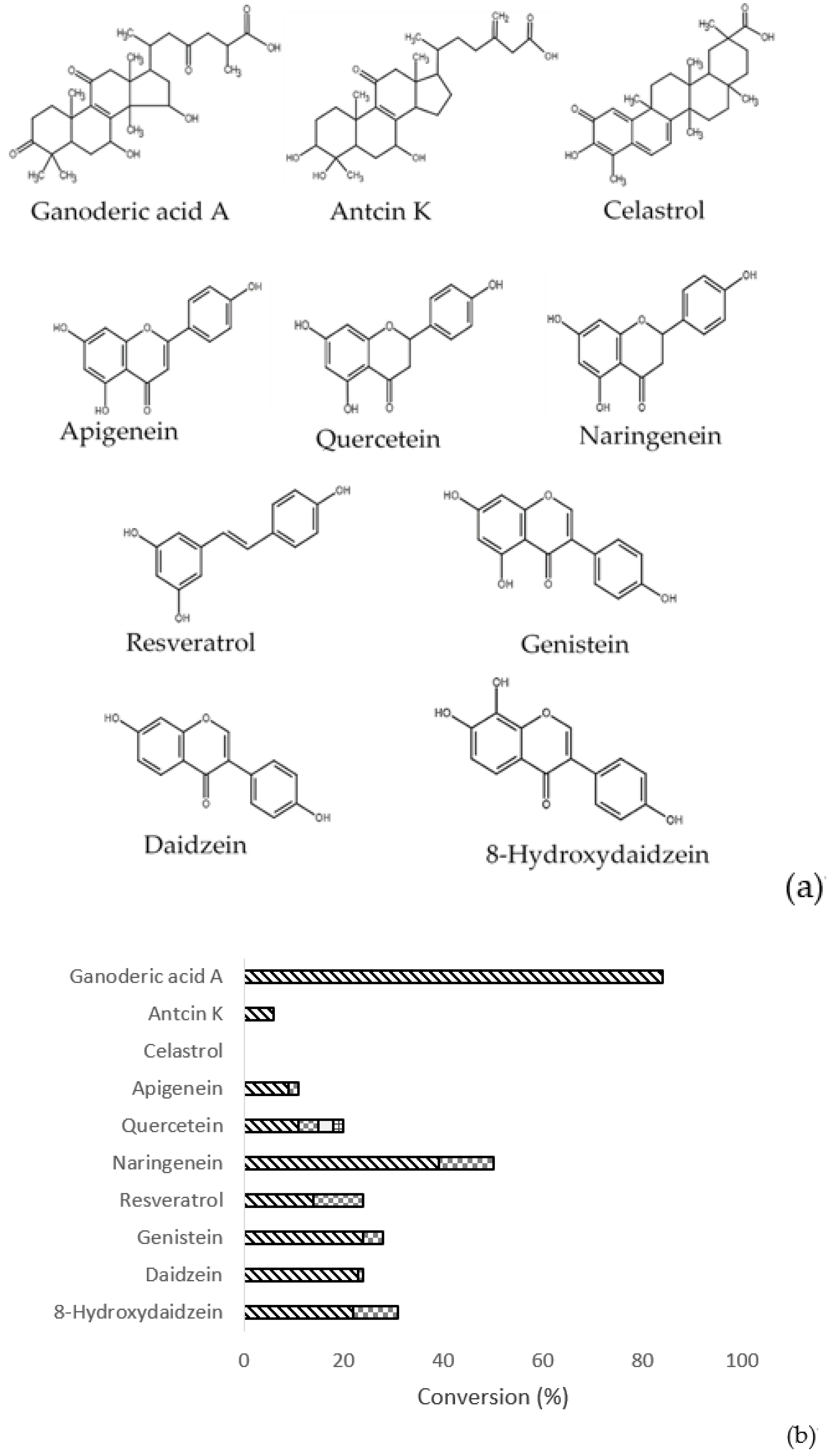 Ijms 20 05192 g007 Ijms 20 05192 g007