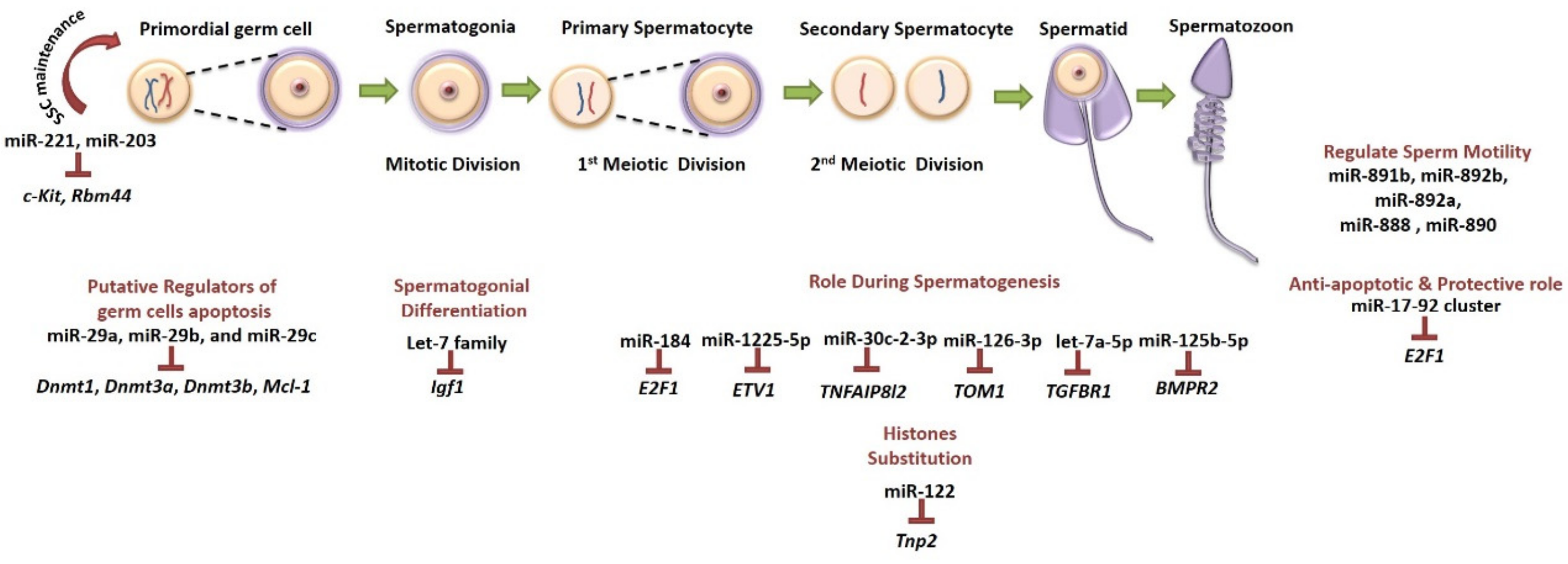 Ijms 20 05223 g003 Ijms 20 05223 g003
