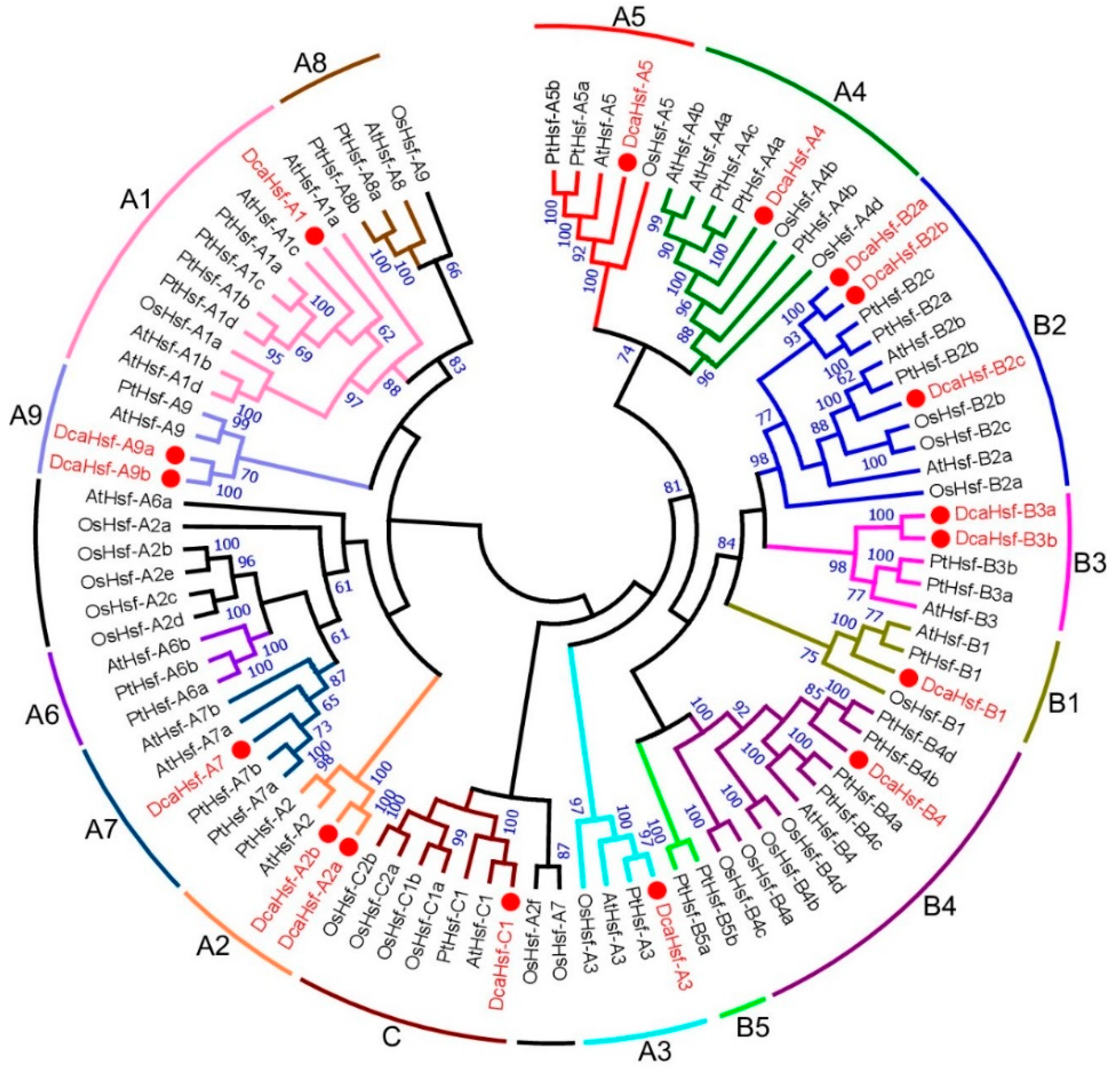 Ijms Free Full Text Genome Wide Identification Classification And
