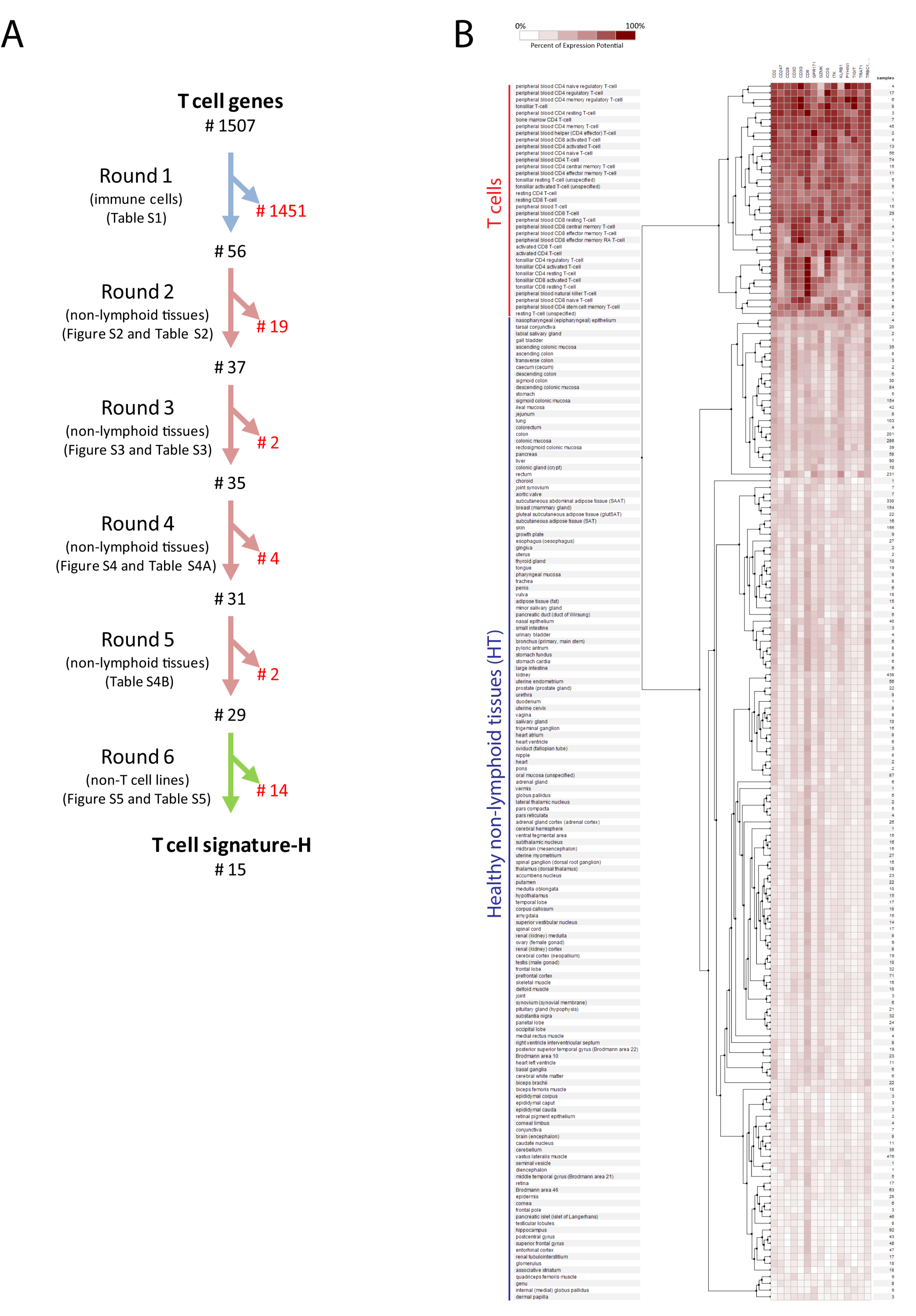 Ijms 20 05242 g002 Ijms 20 05242 g002