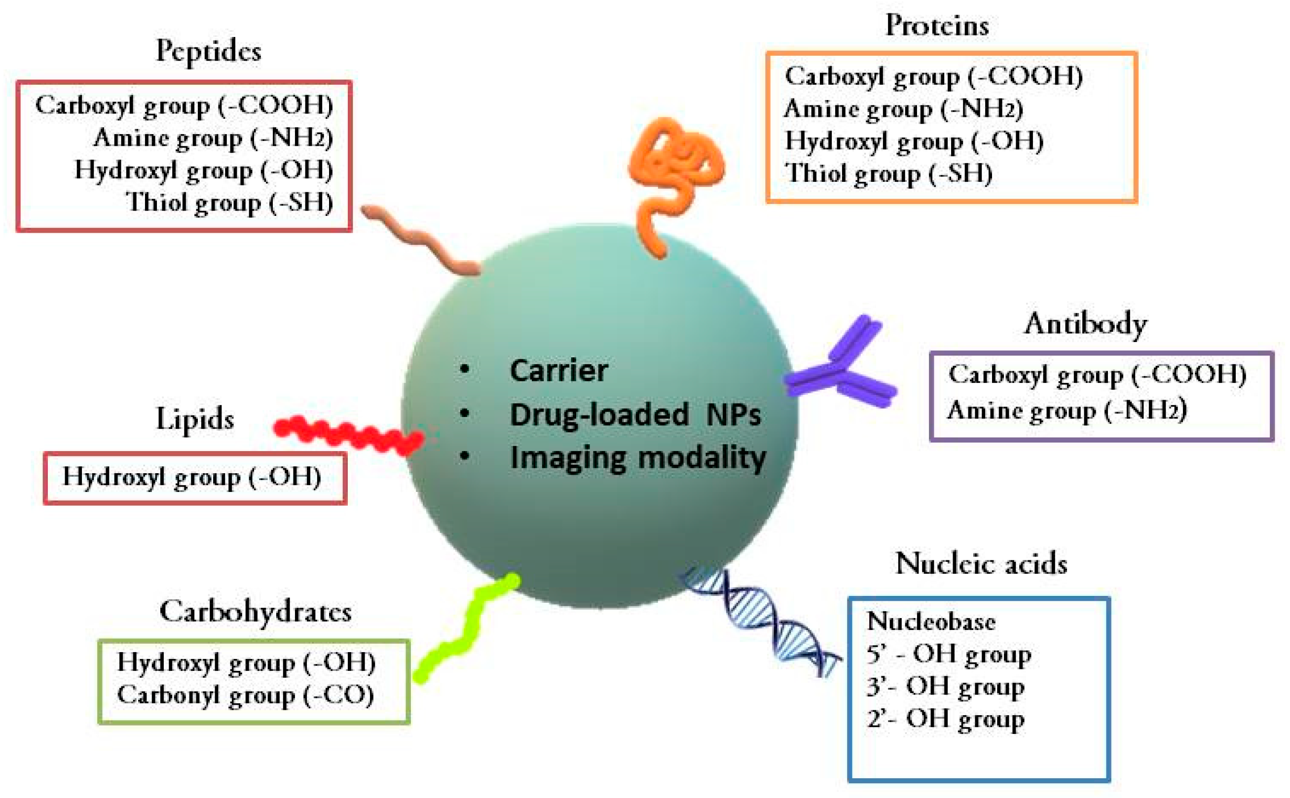 Ijms 20 05243 g002 Ijms 20 05243 g002