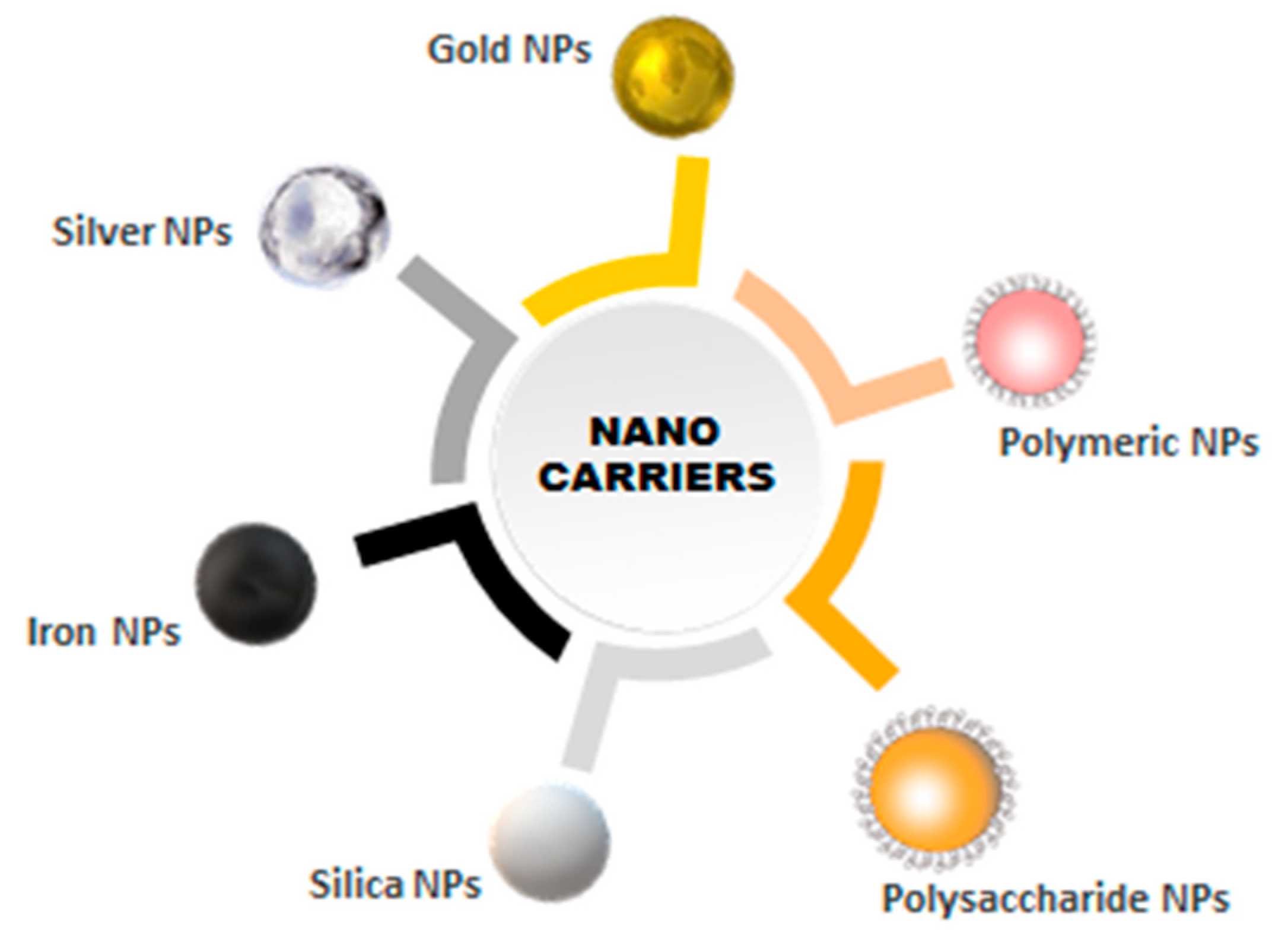 Ijms 20 05243 g004 Ijms 20 05243 g004