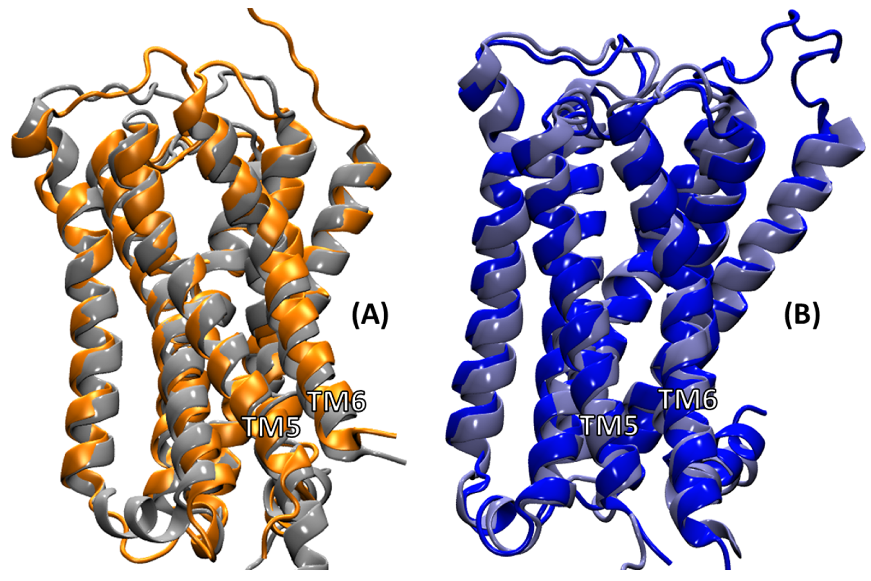 Ijms 20 05290 g004 Ijms 20 05290 g004