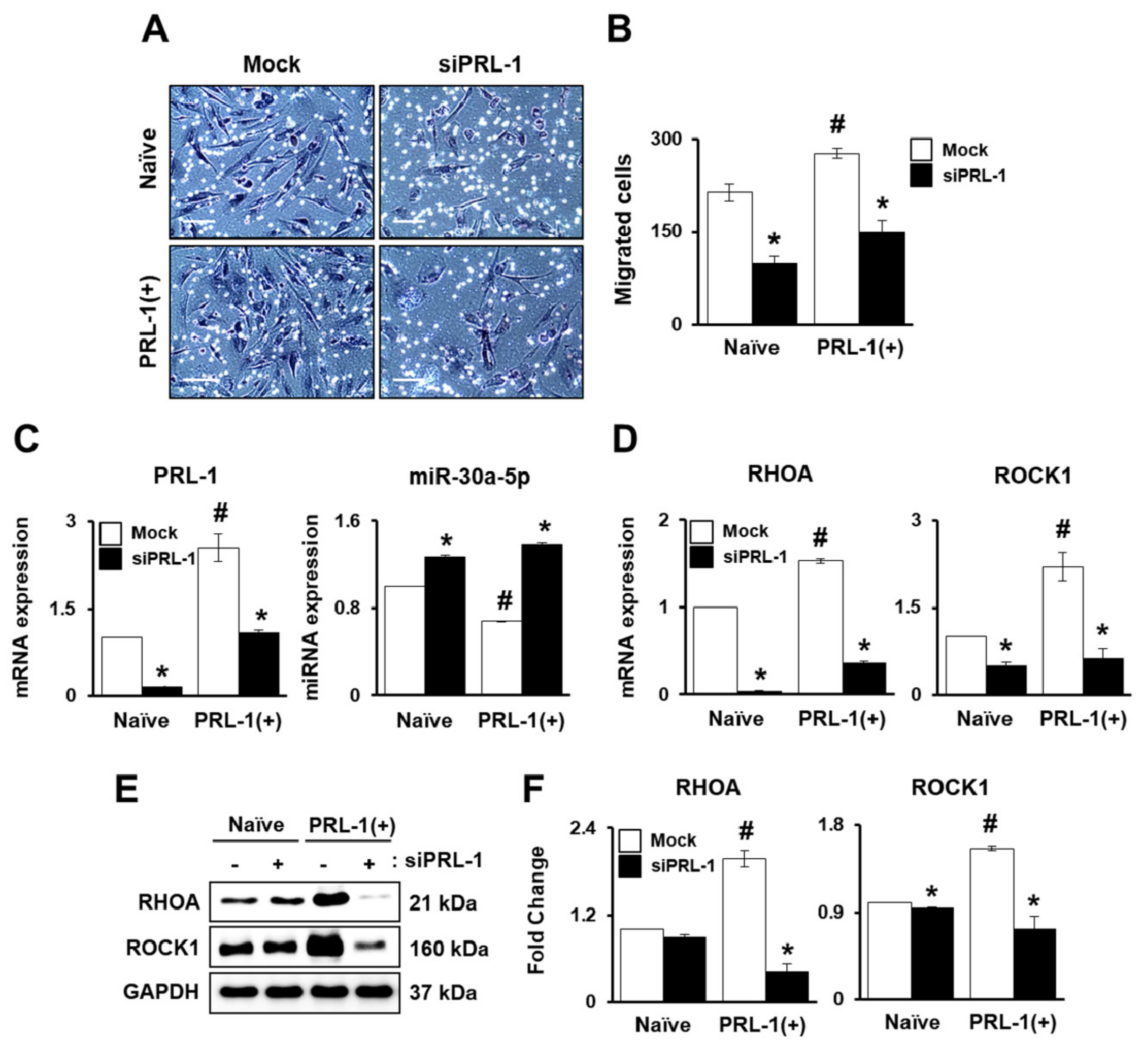 Ijms 20 05299 g003 Ijms 20 05299 g003