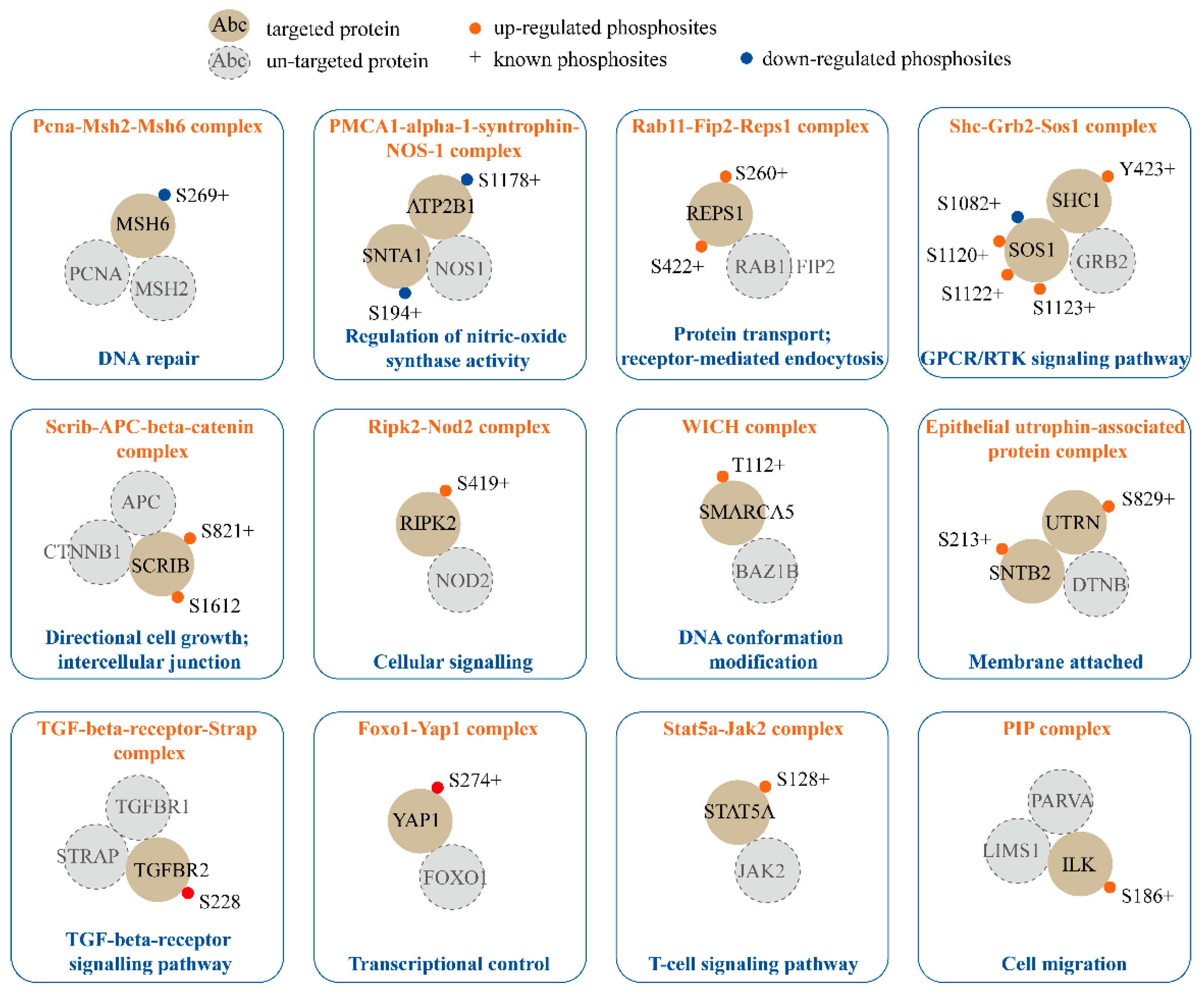 Ijms 20 05400 g004 Ijms 20 05400 g004