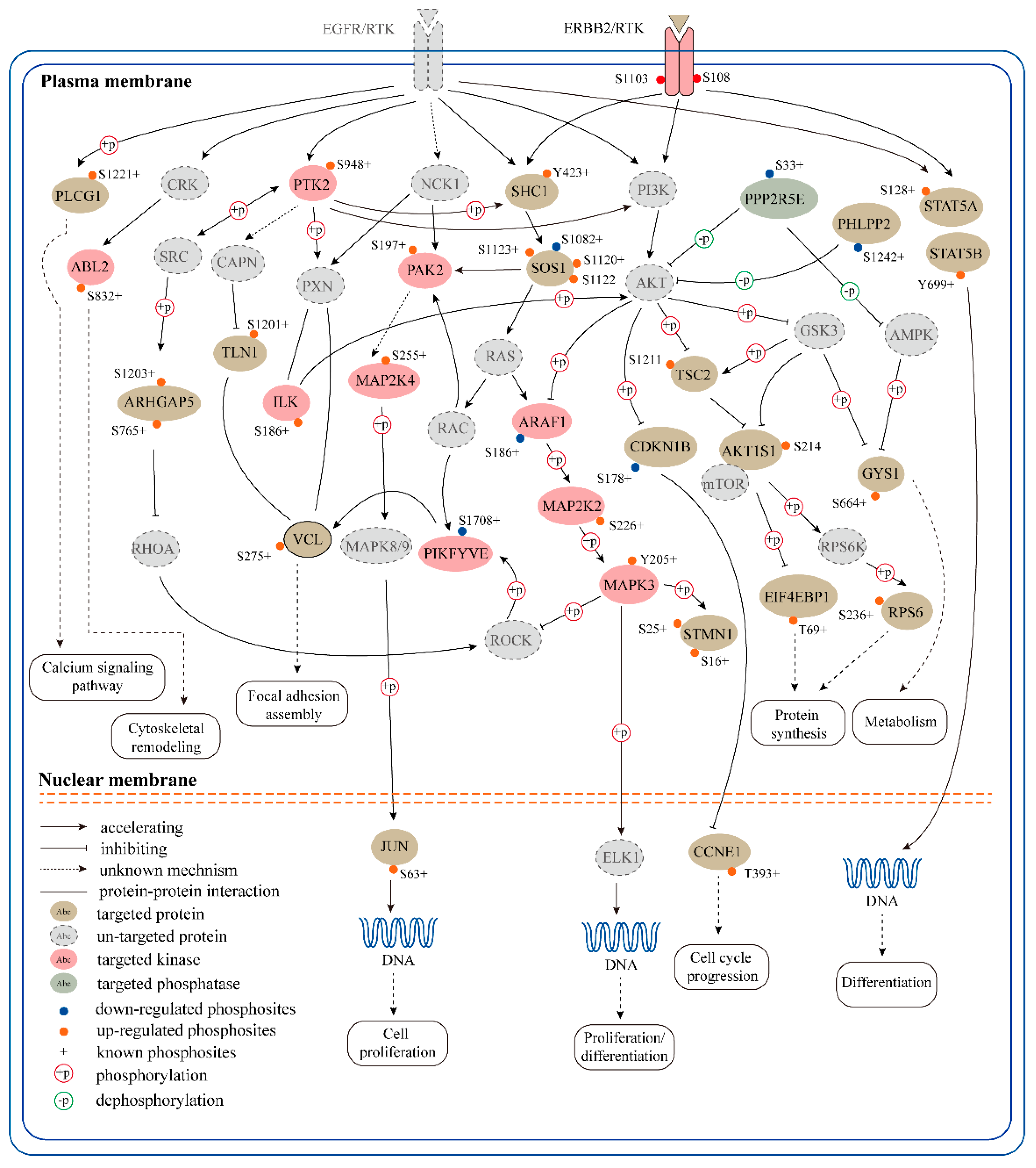 Ijms 20 05400 g005 Ijms 20 05400 g005