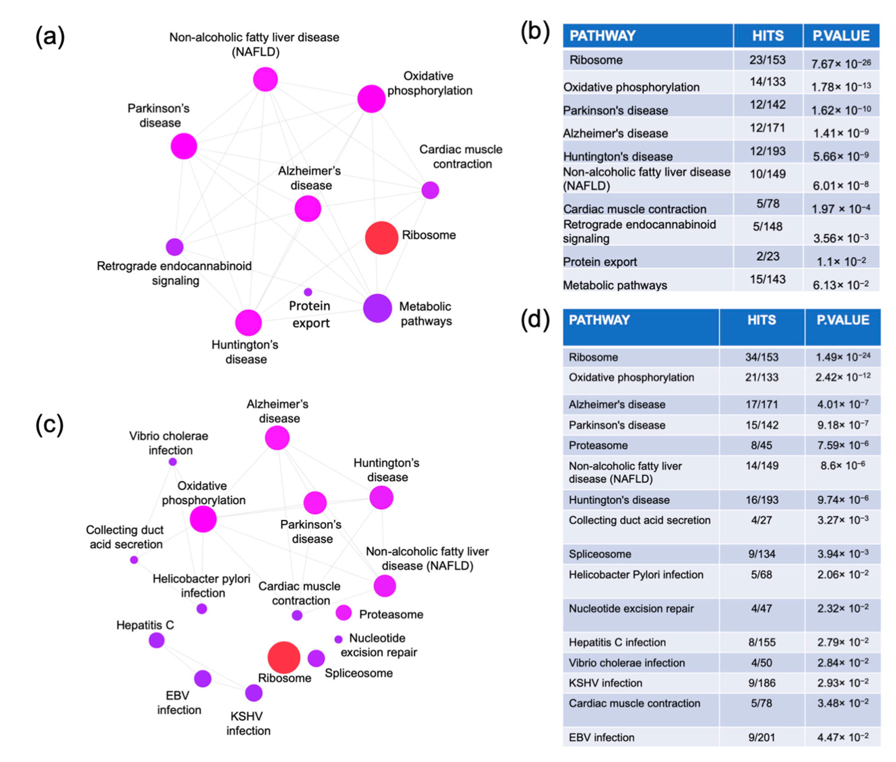 Ijms 20 05403 g003 Ijms 20 05403 g003