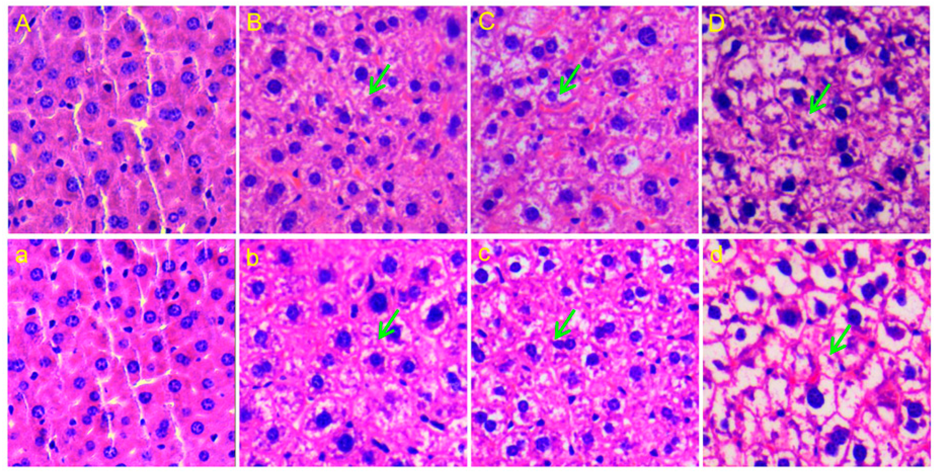 Ijms 20 05457 g001 Ijms 20 05457 g001